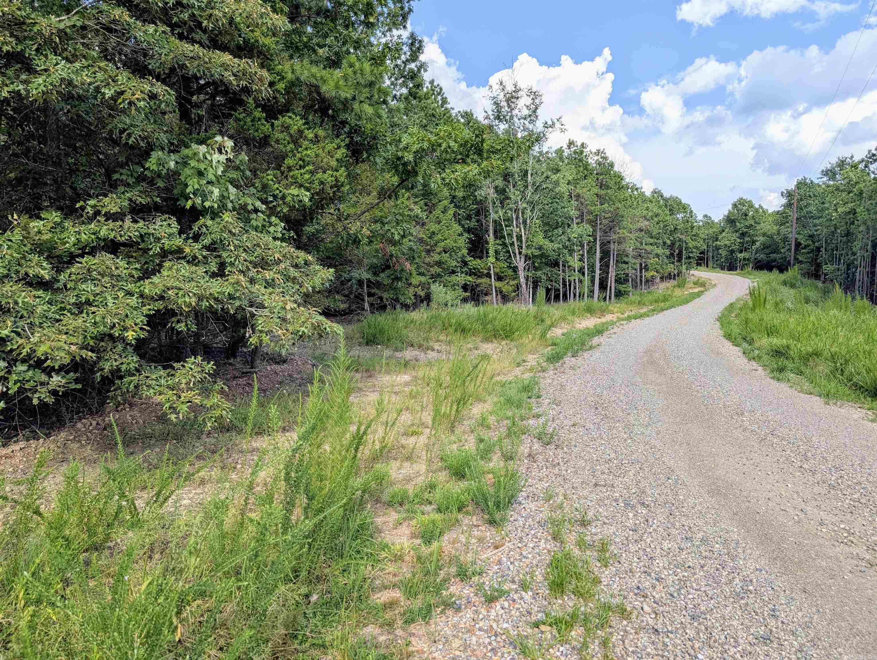 Lot 10 Polk Road 78  Mena, AR