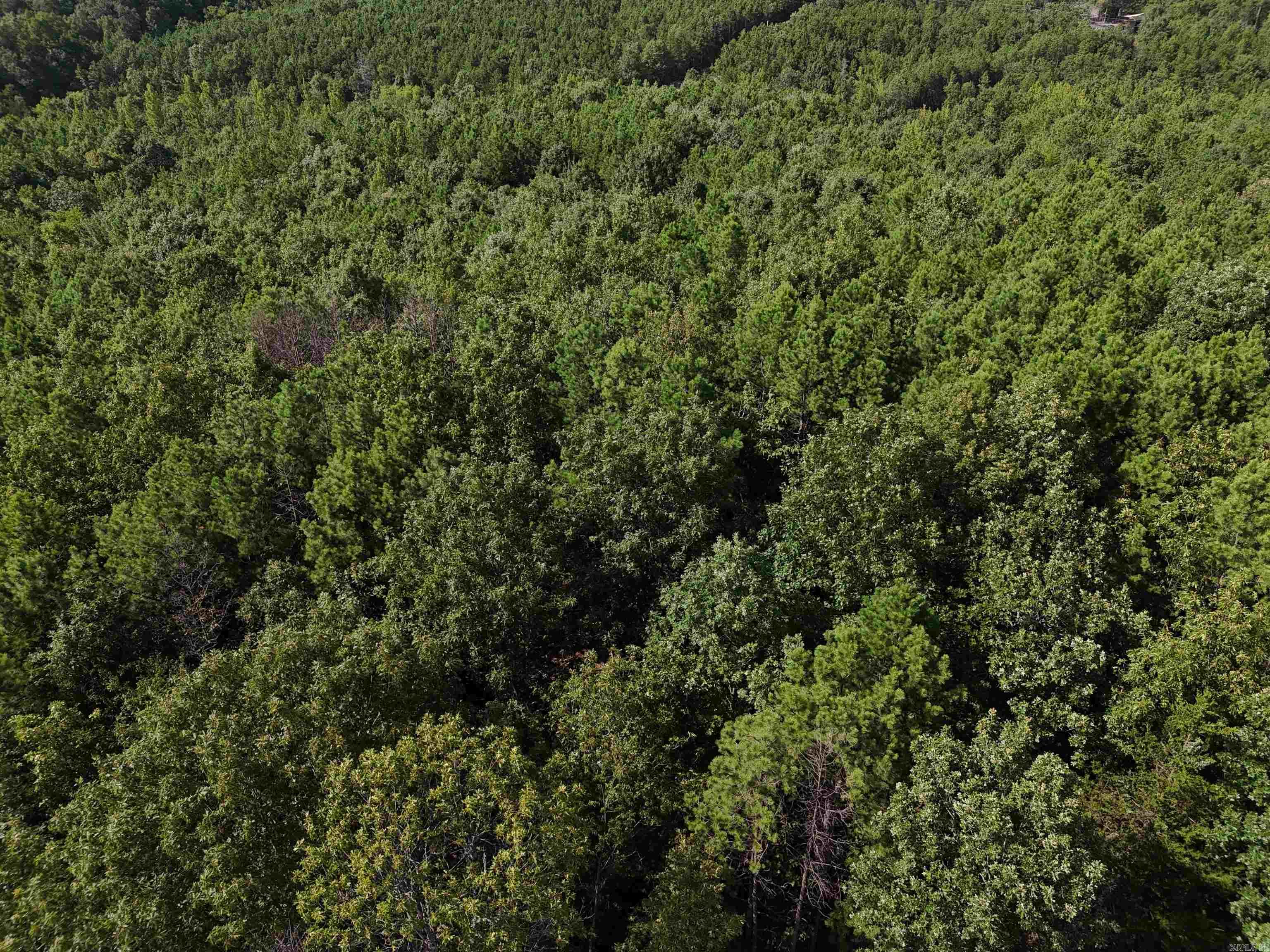 Lot 11 Polk Road 78  Mena, AR