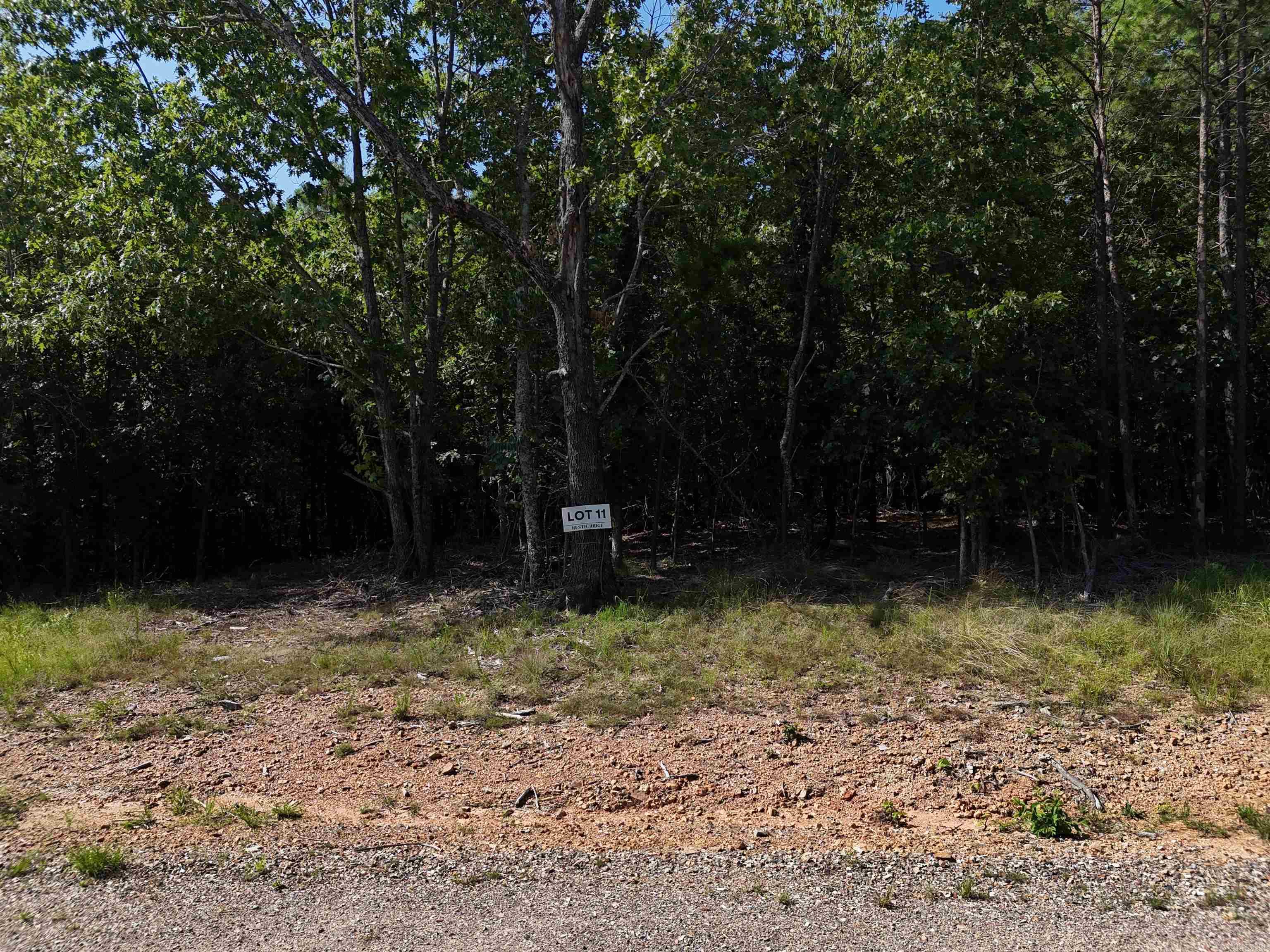 Lot 11 Polk Road 78  Mena, AR