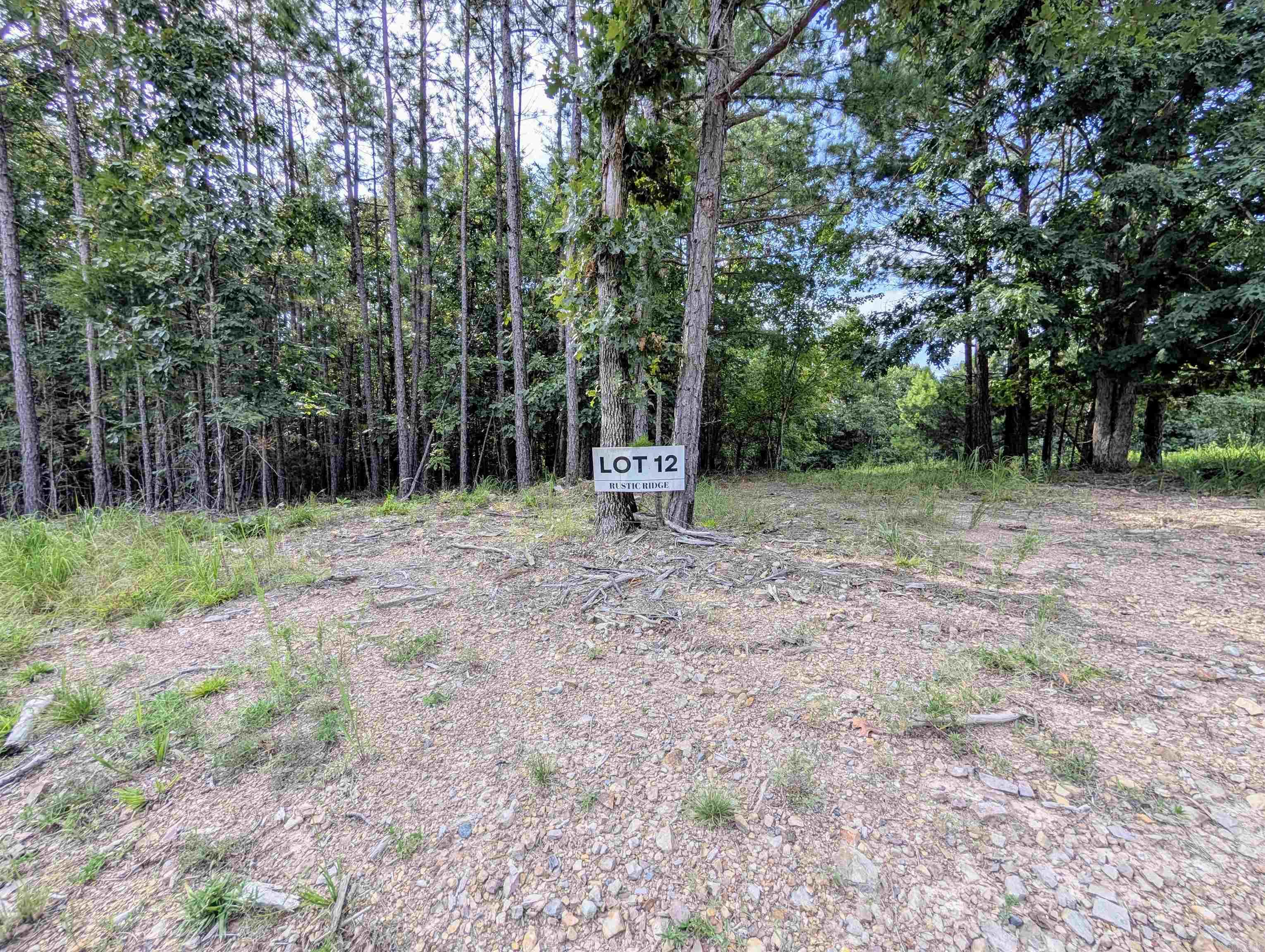 Lot 12 Polk Road 78  Mena, AR