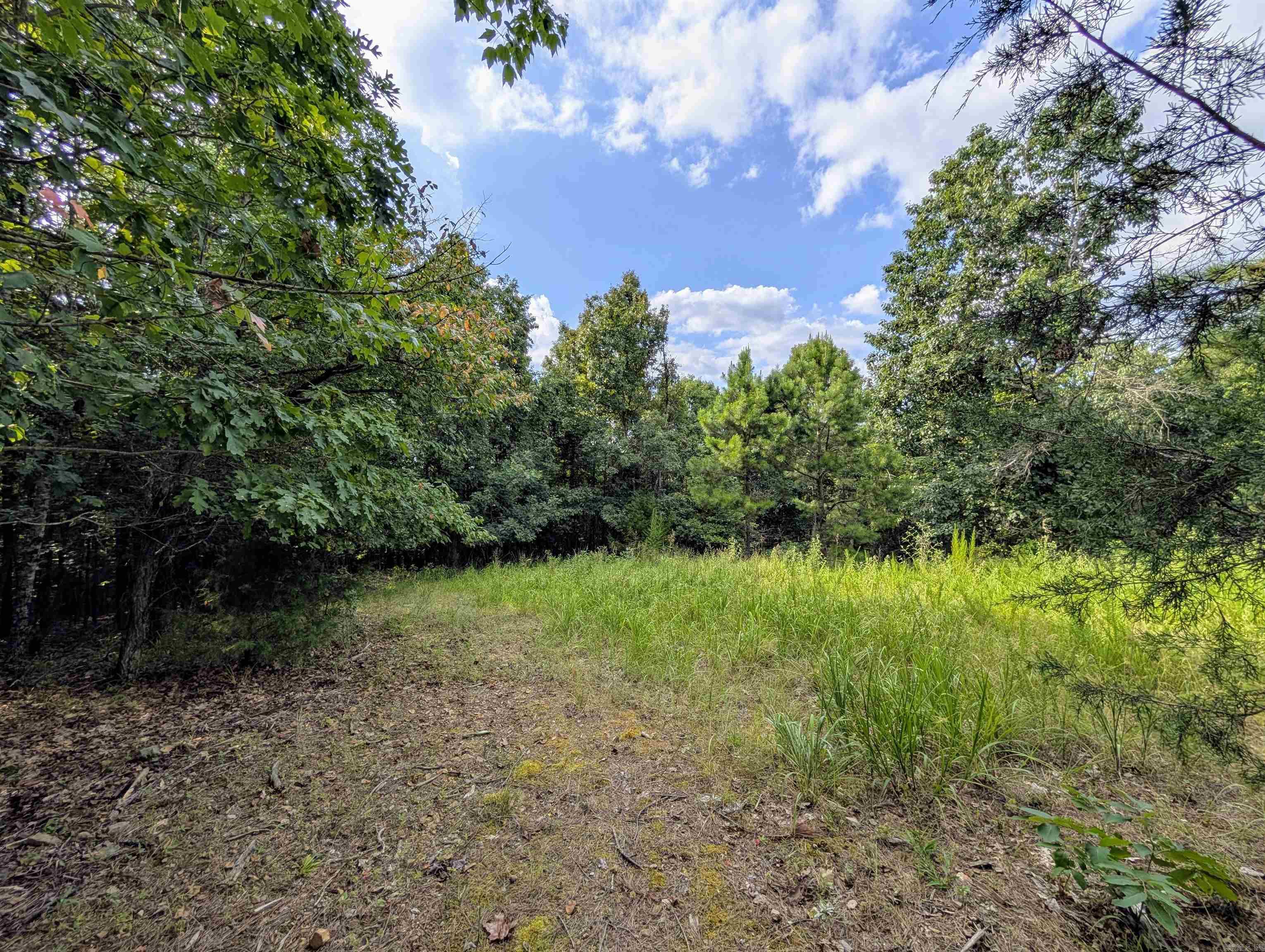 Lot 12 Polk Road 78  Mena, AR