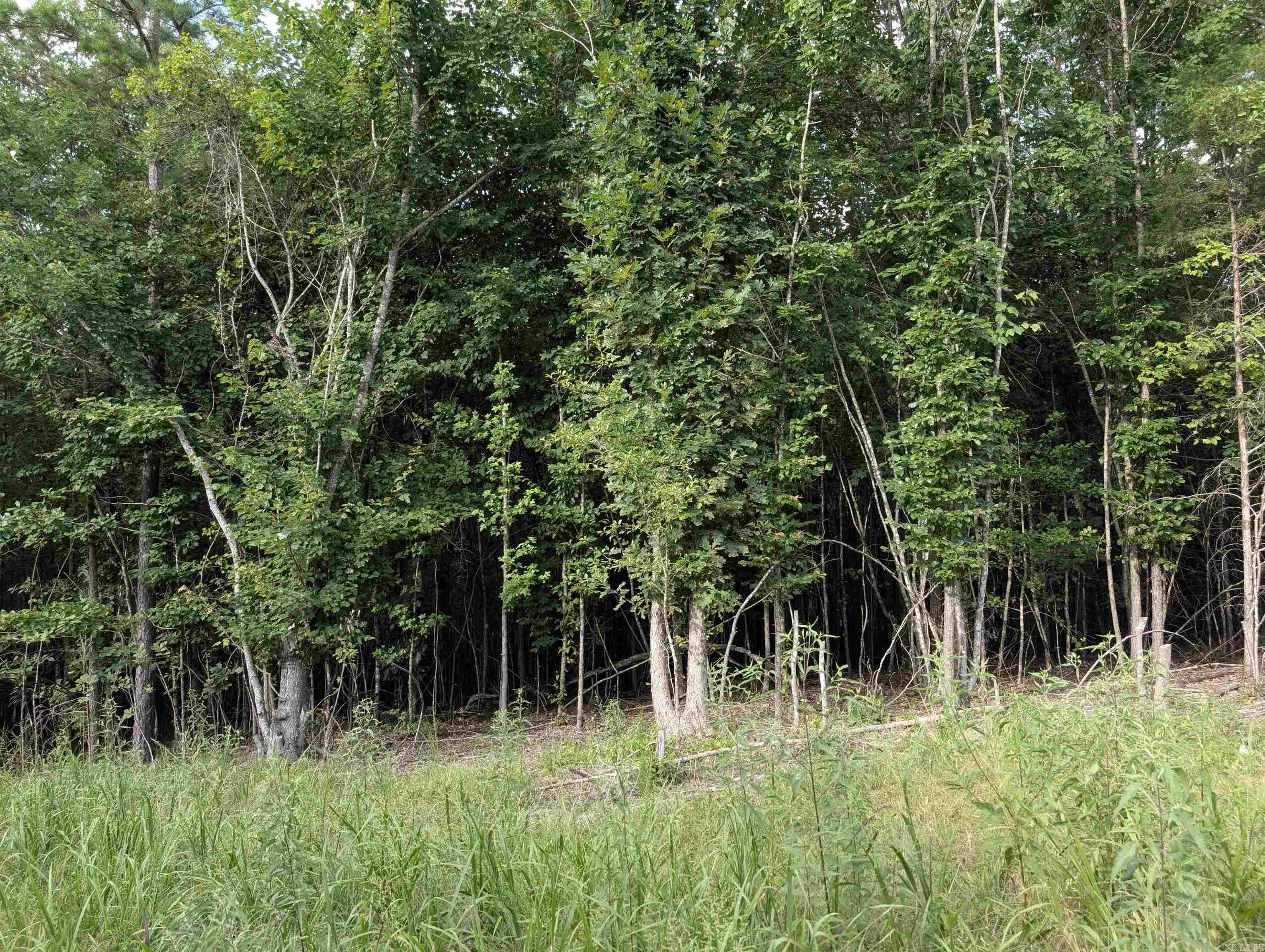 Lot 13 Polk Road 78  Mena, AR