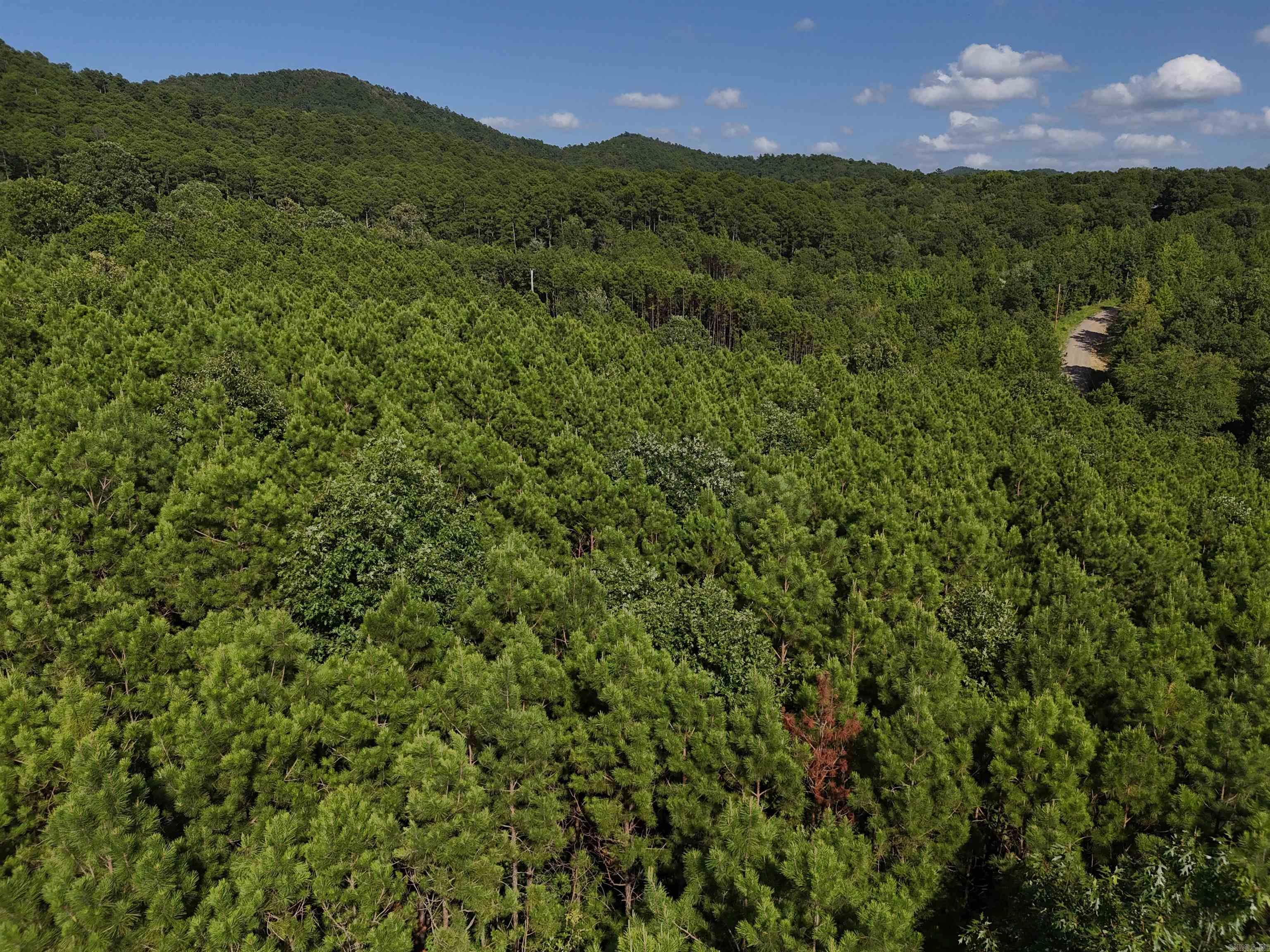 Lot 14 Polk Road 78  Mena, AR