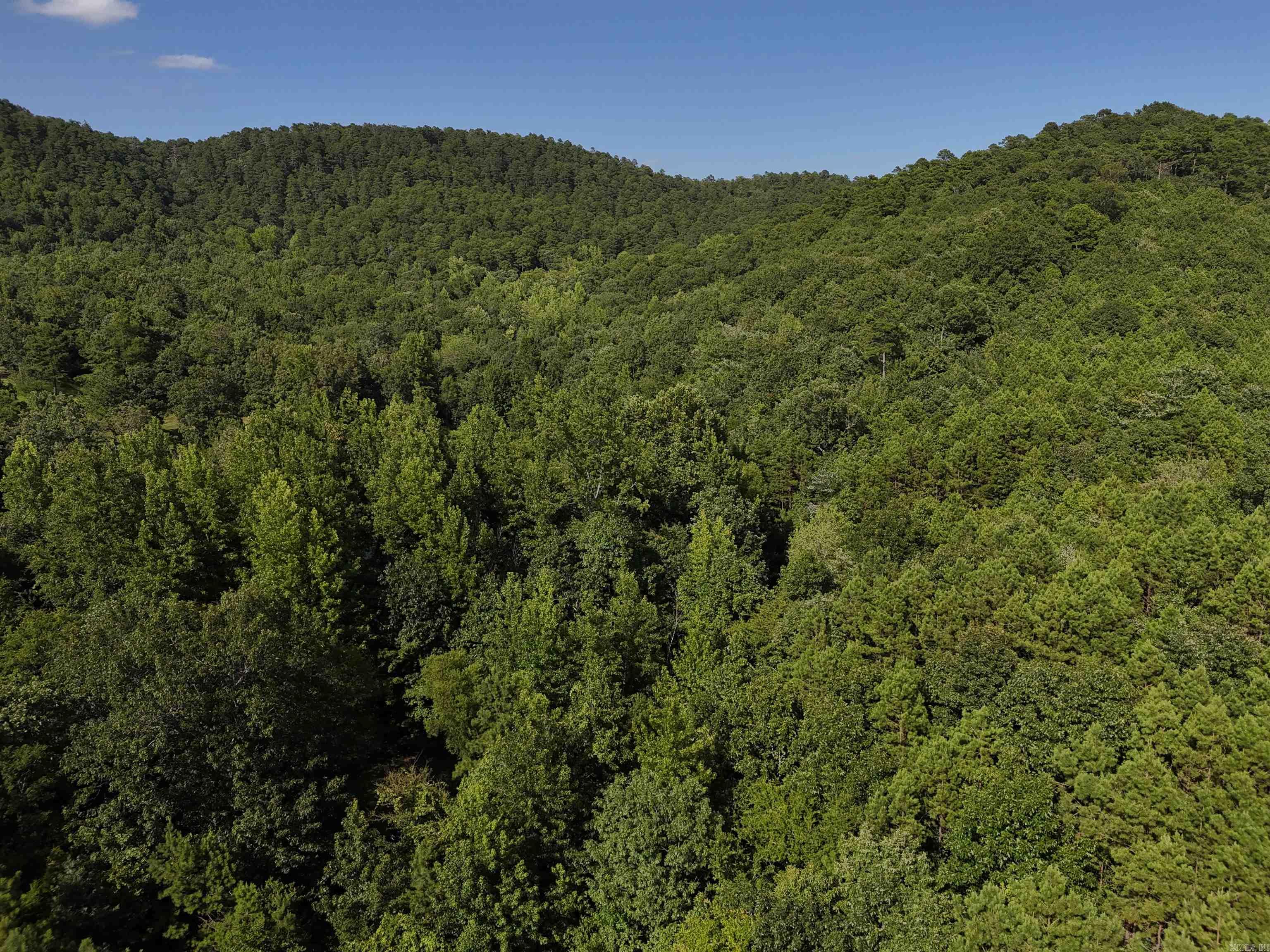 Lot 17 Polk Road 78  Mena, AR