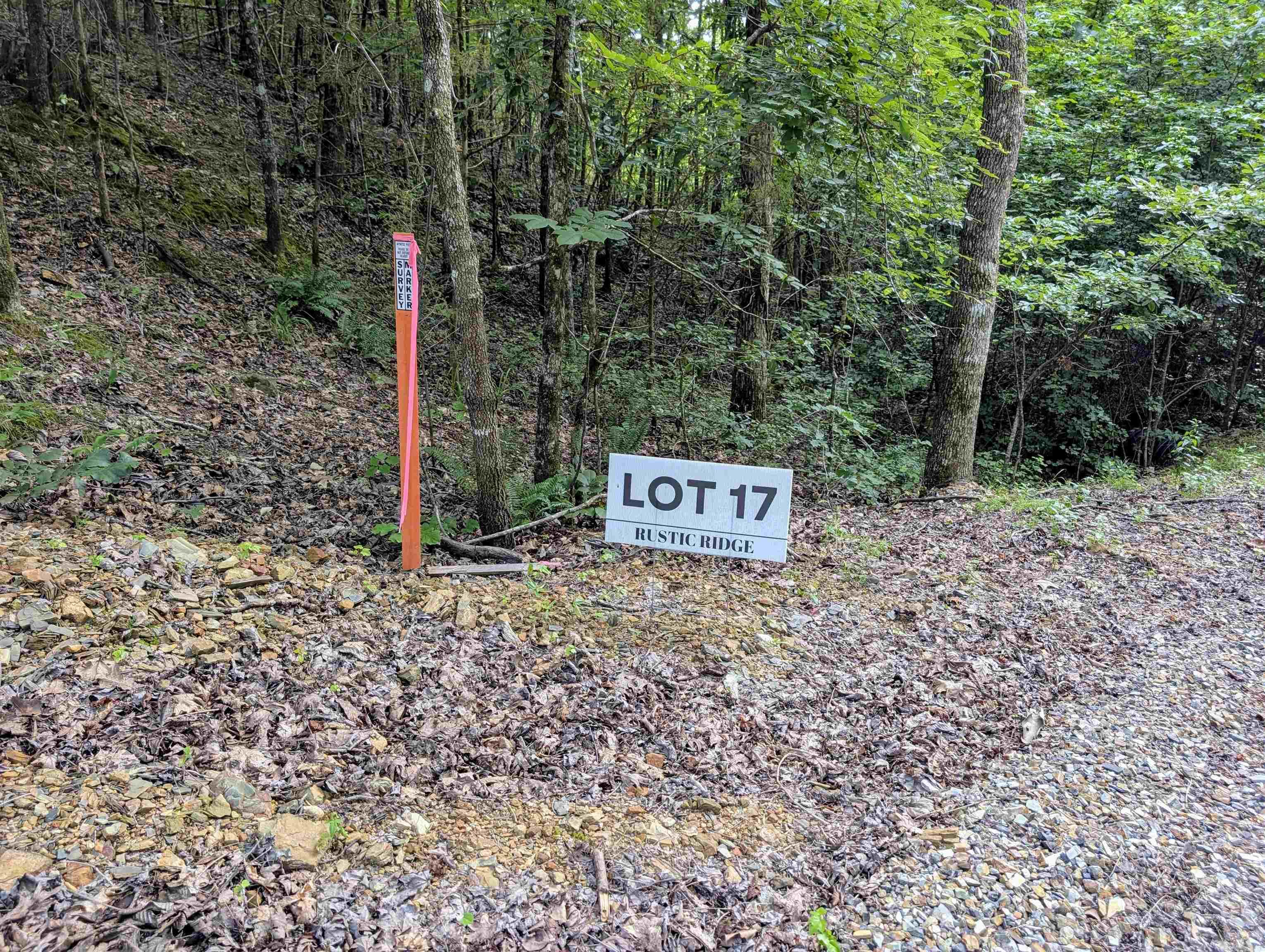 Lot 17 Polk Road 78  Mena, AR