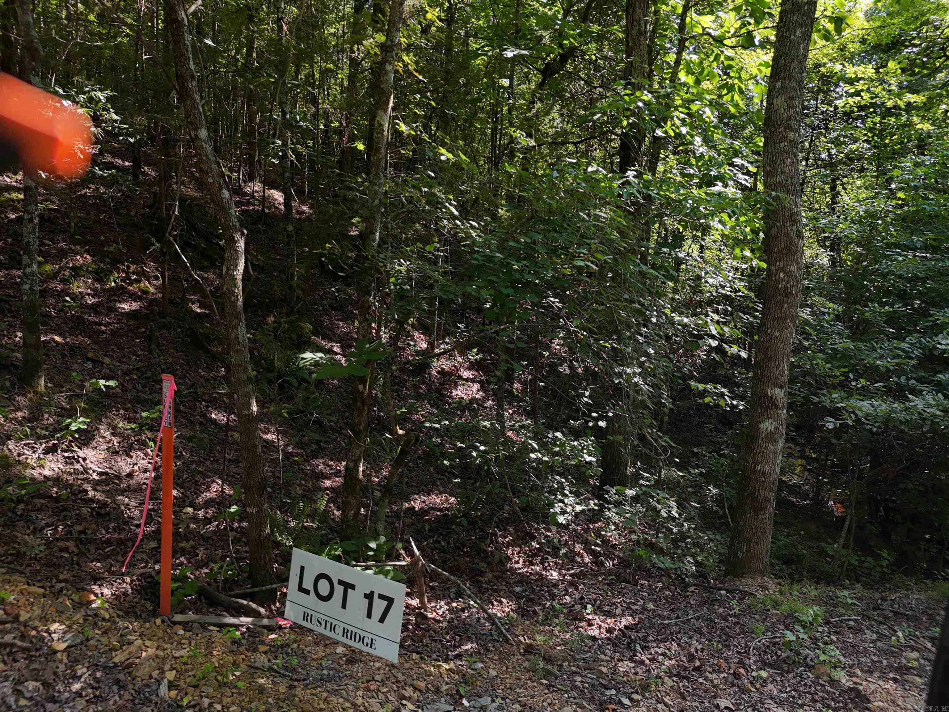 Lot 17 Polk Road 78  Mena, AR