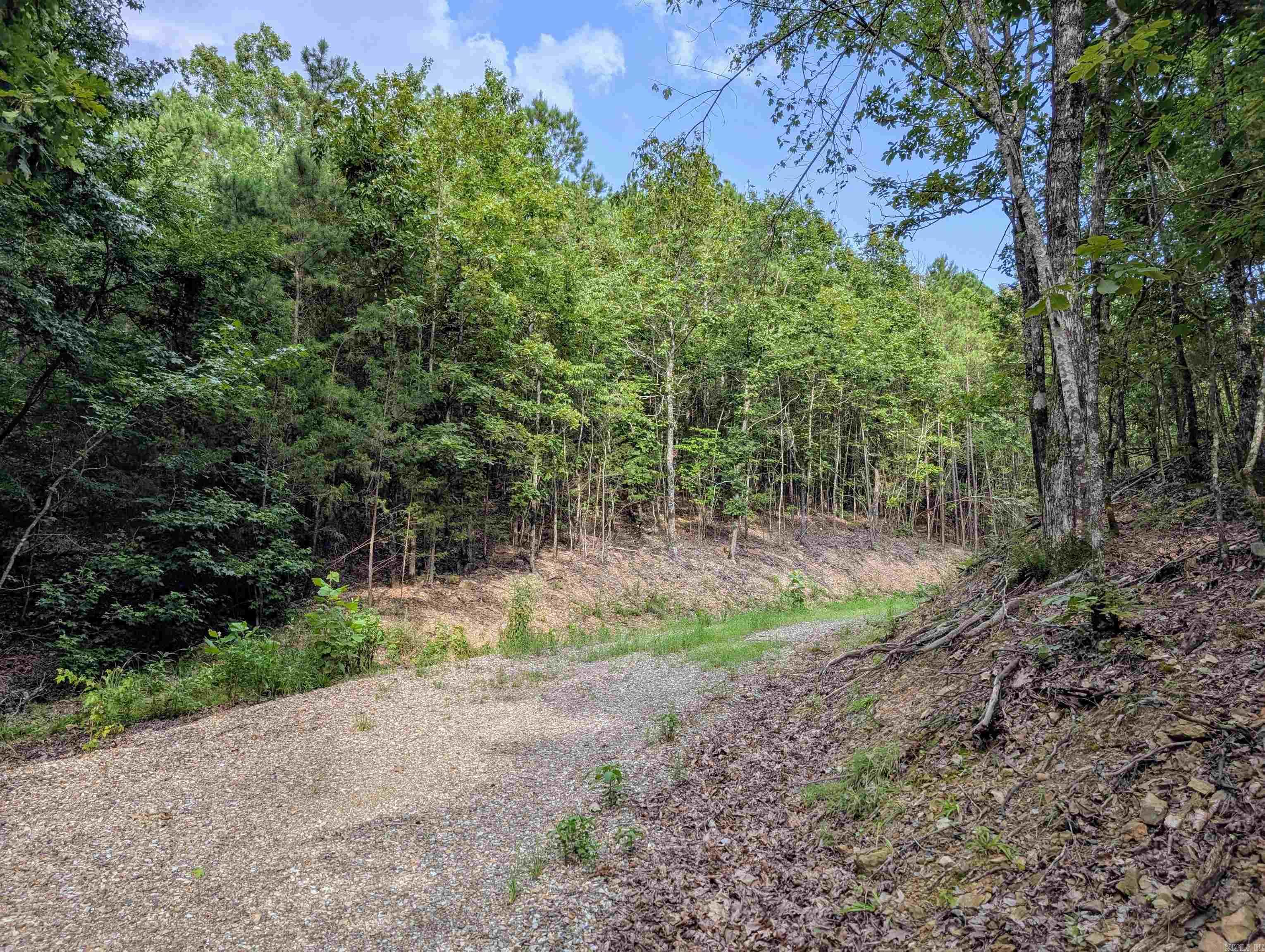 Lot 17 Polk Road 78  Mena, AR
