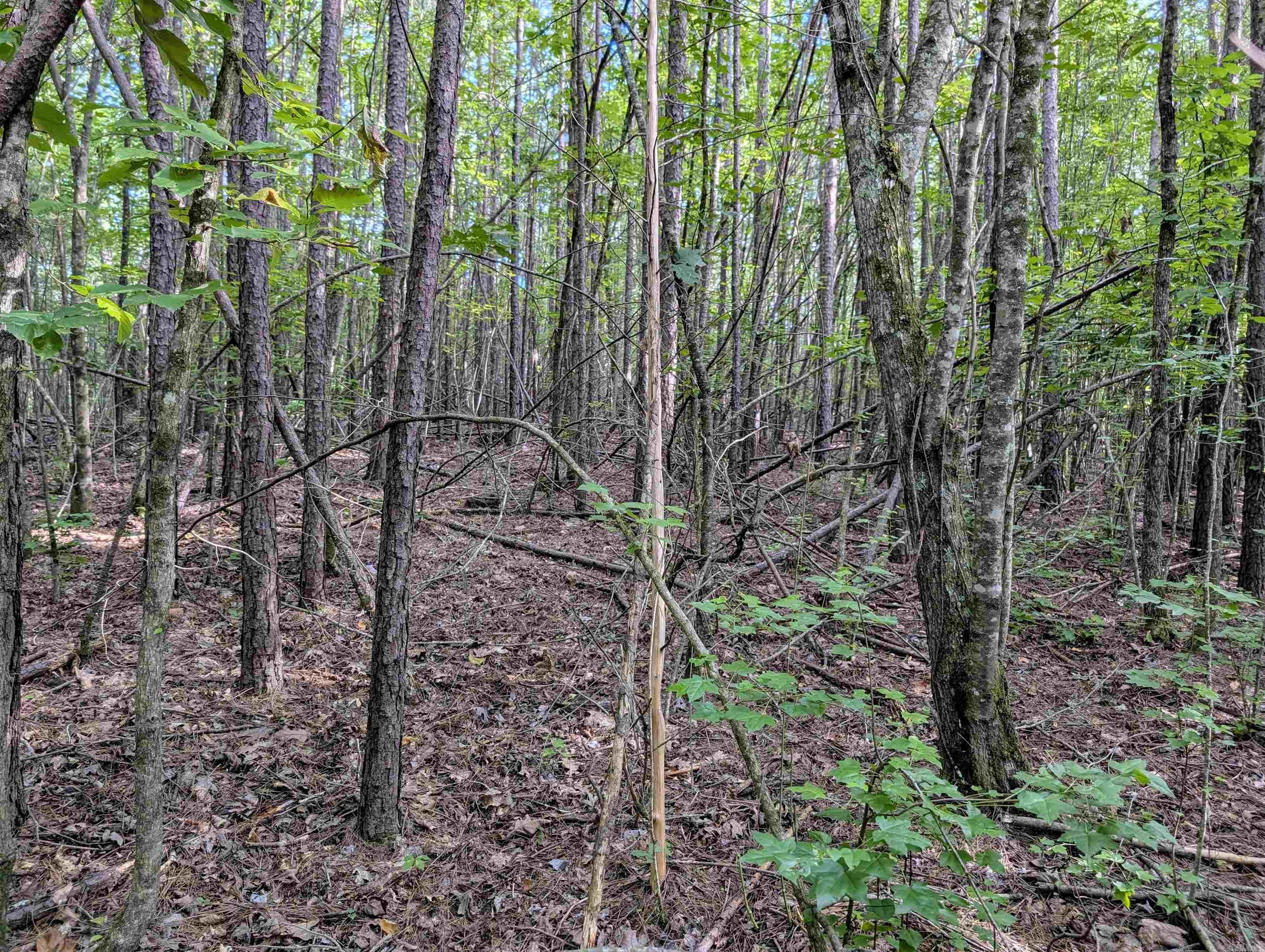 Lot 17 Polk Road 78  Mena, AR