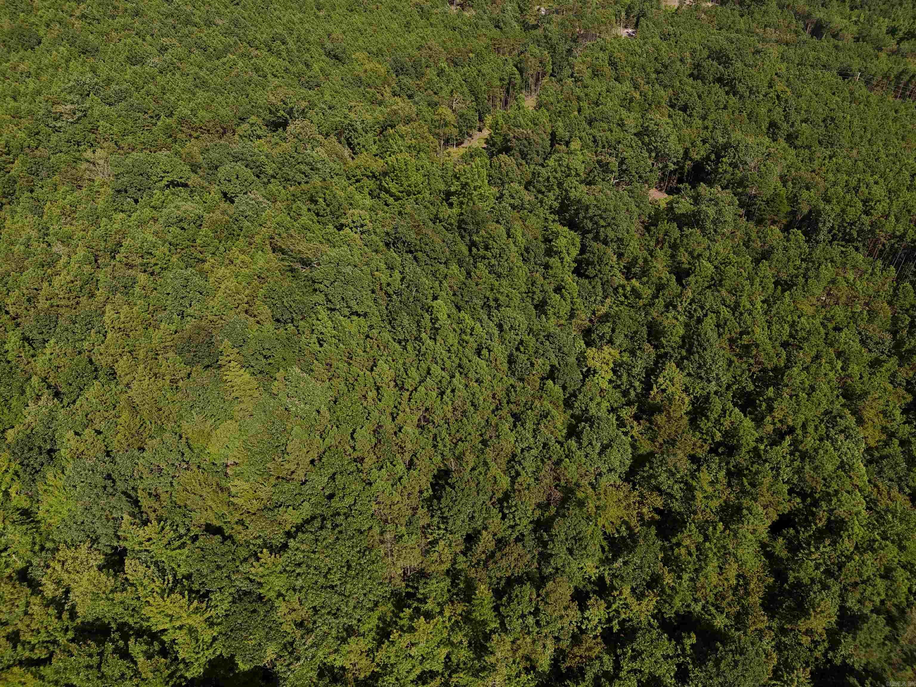 Lot 18 Polk Road 78  Mena, AR