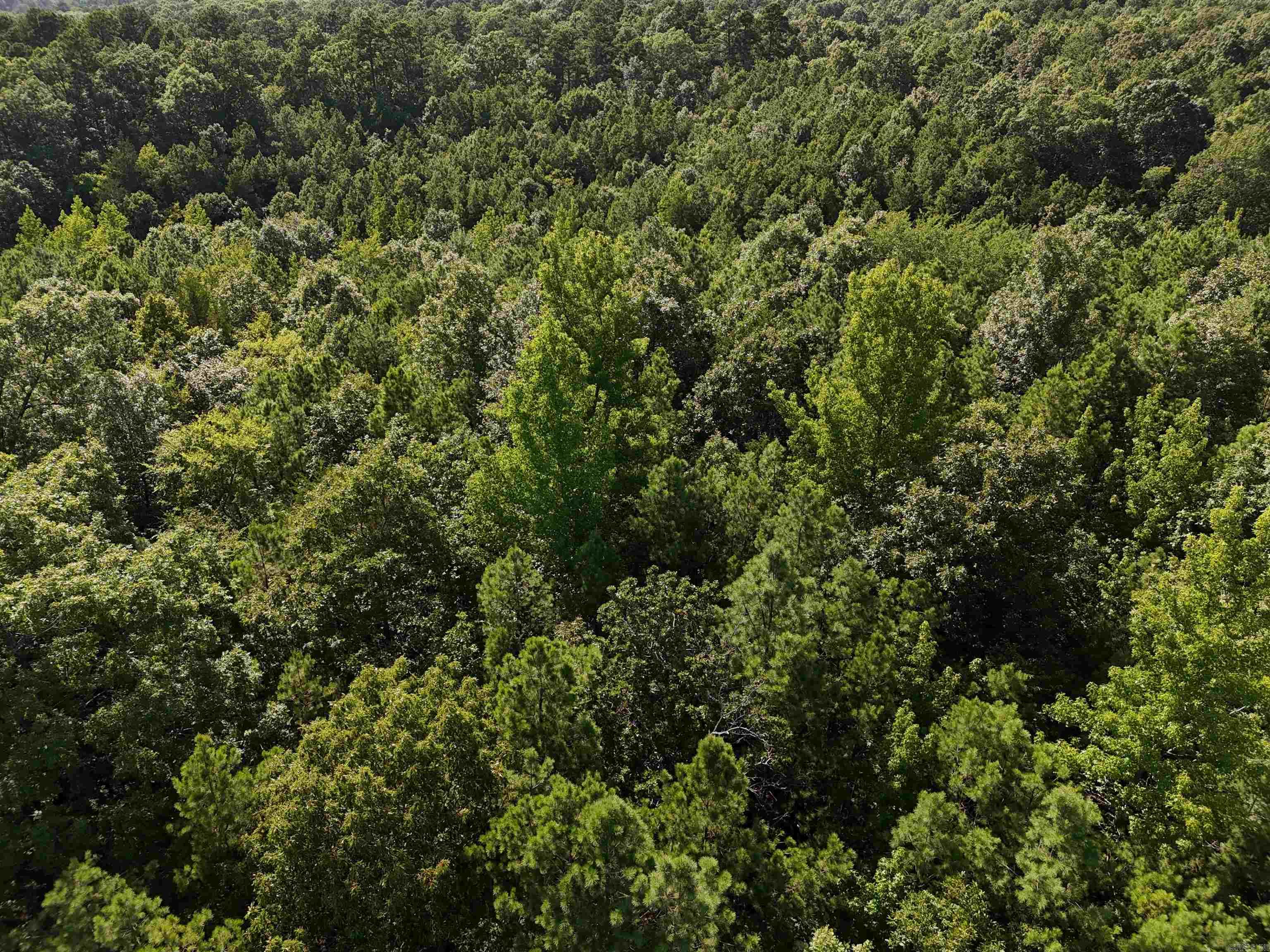 Lot 18 Polk Road 78  Mena, AR