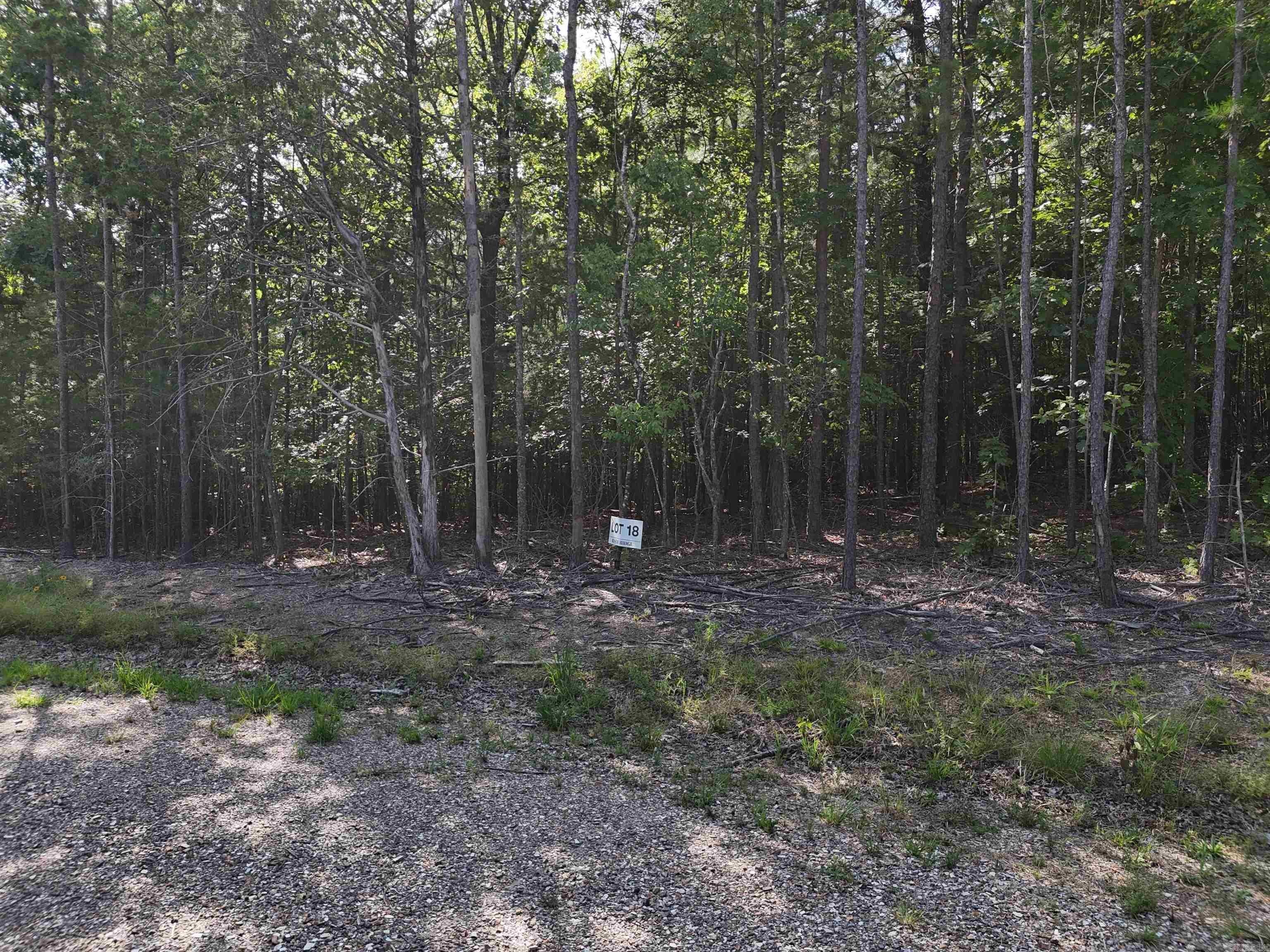 Lot 18 Polk Road 78  Mena, AR