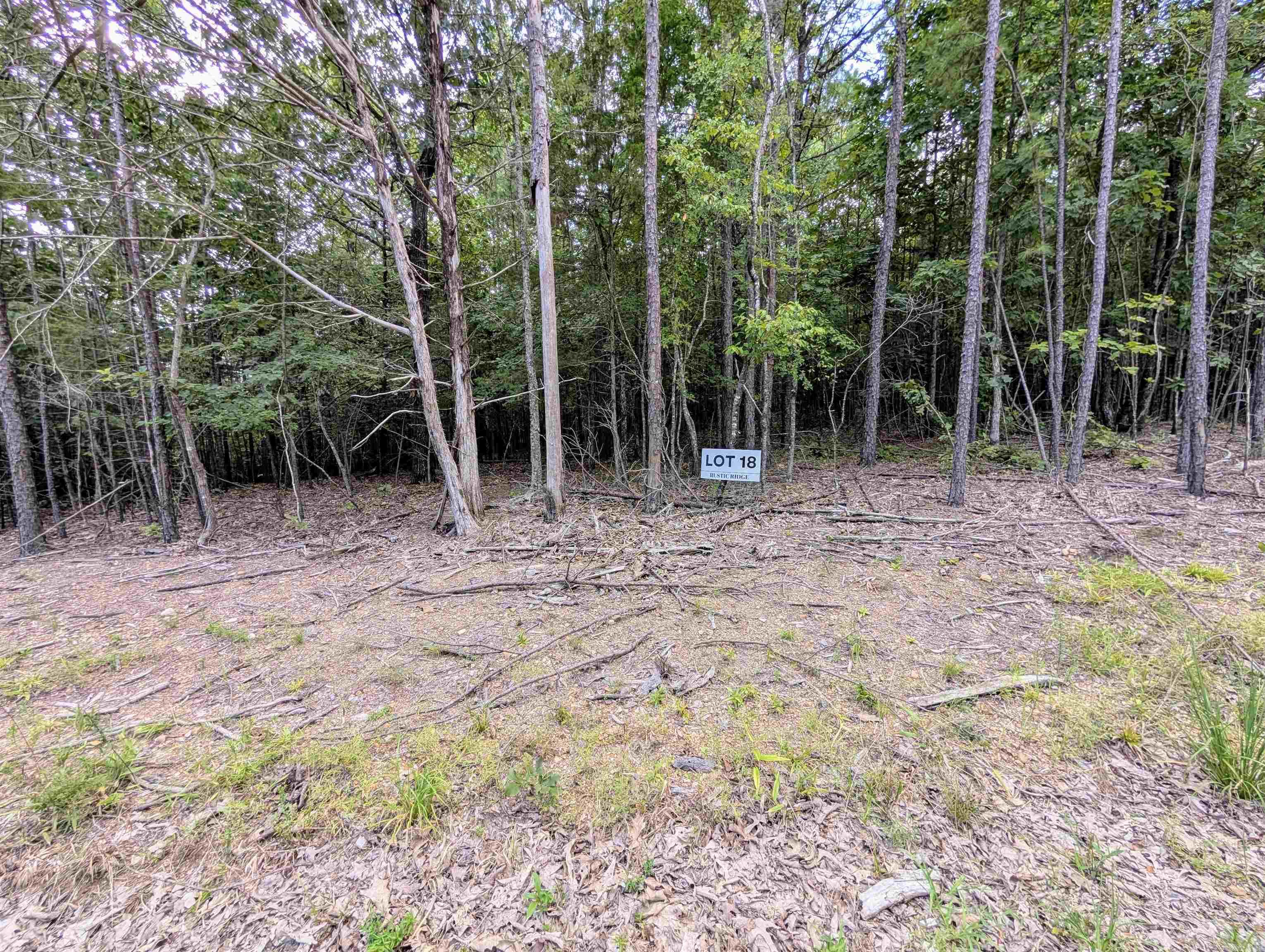 Lot 18 Polk Road 78  Mena, AR