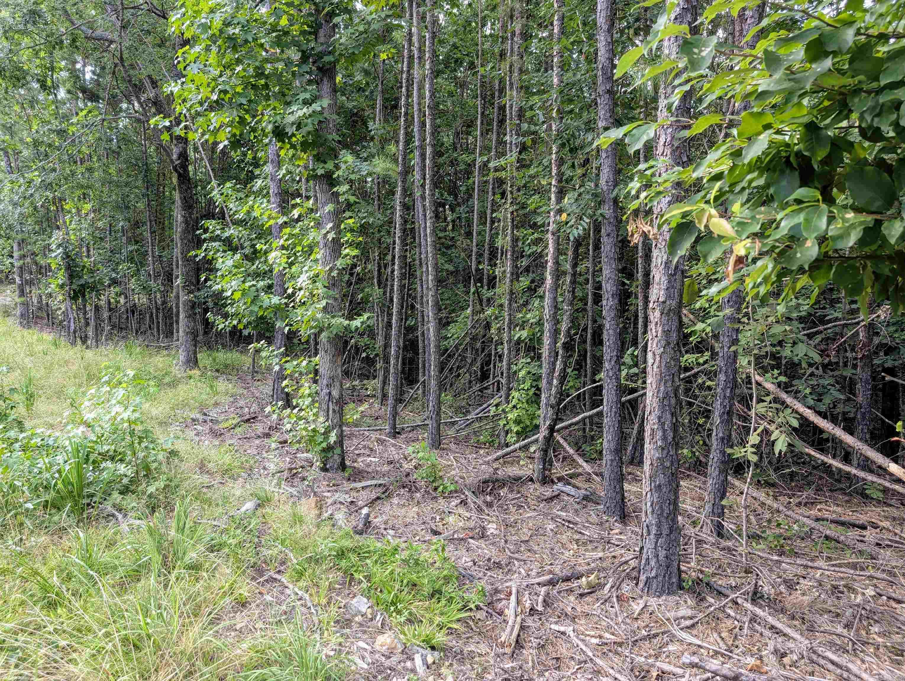 Lot 18 Polk Road 78  Mena, AR