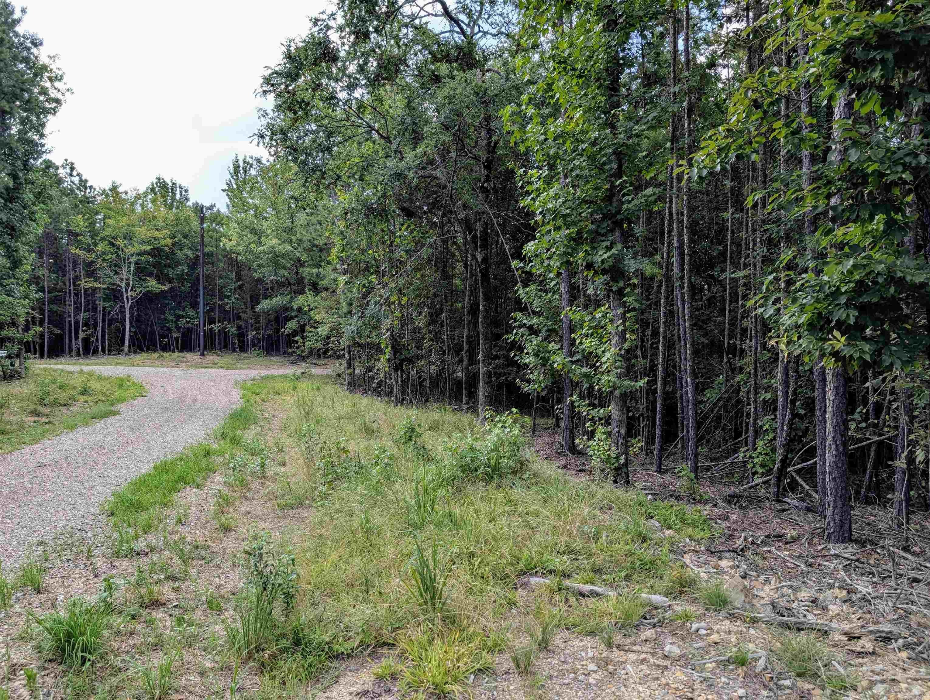 Lot 18 Polk Road 78  Mena, AR