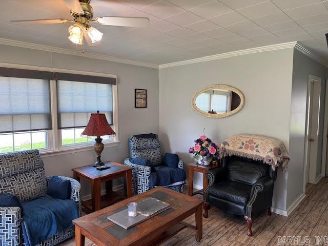 1108 Wilson  Pocahontas, AR