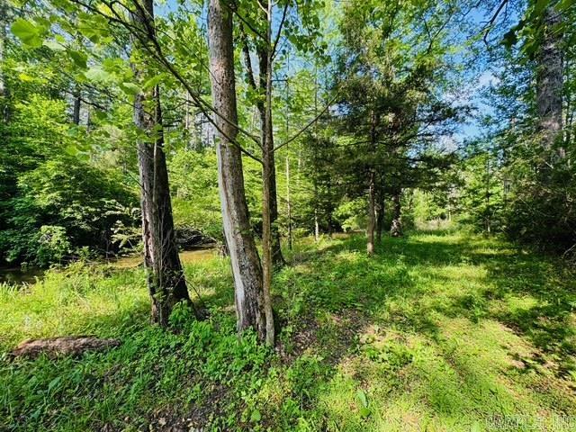 000 CR 127  Calico Rock, AR