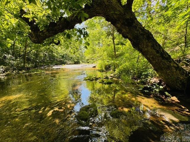 000 CR 127  Calico Rock, AR