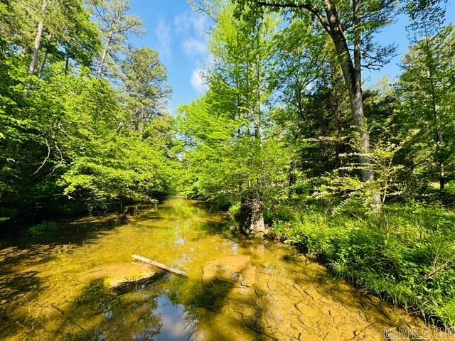 000 CR 127  Calico Rock, AR