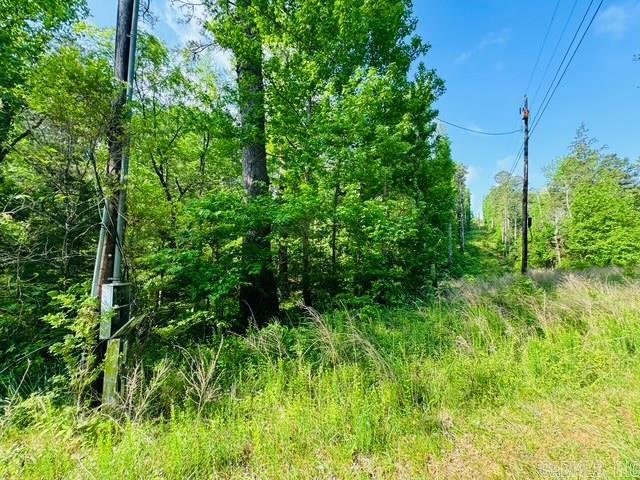 000 CR 127  Calico Rock, AR