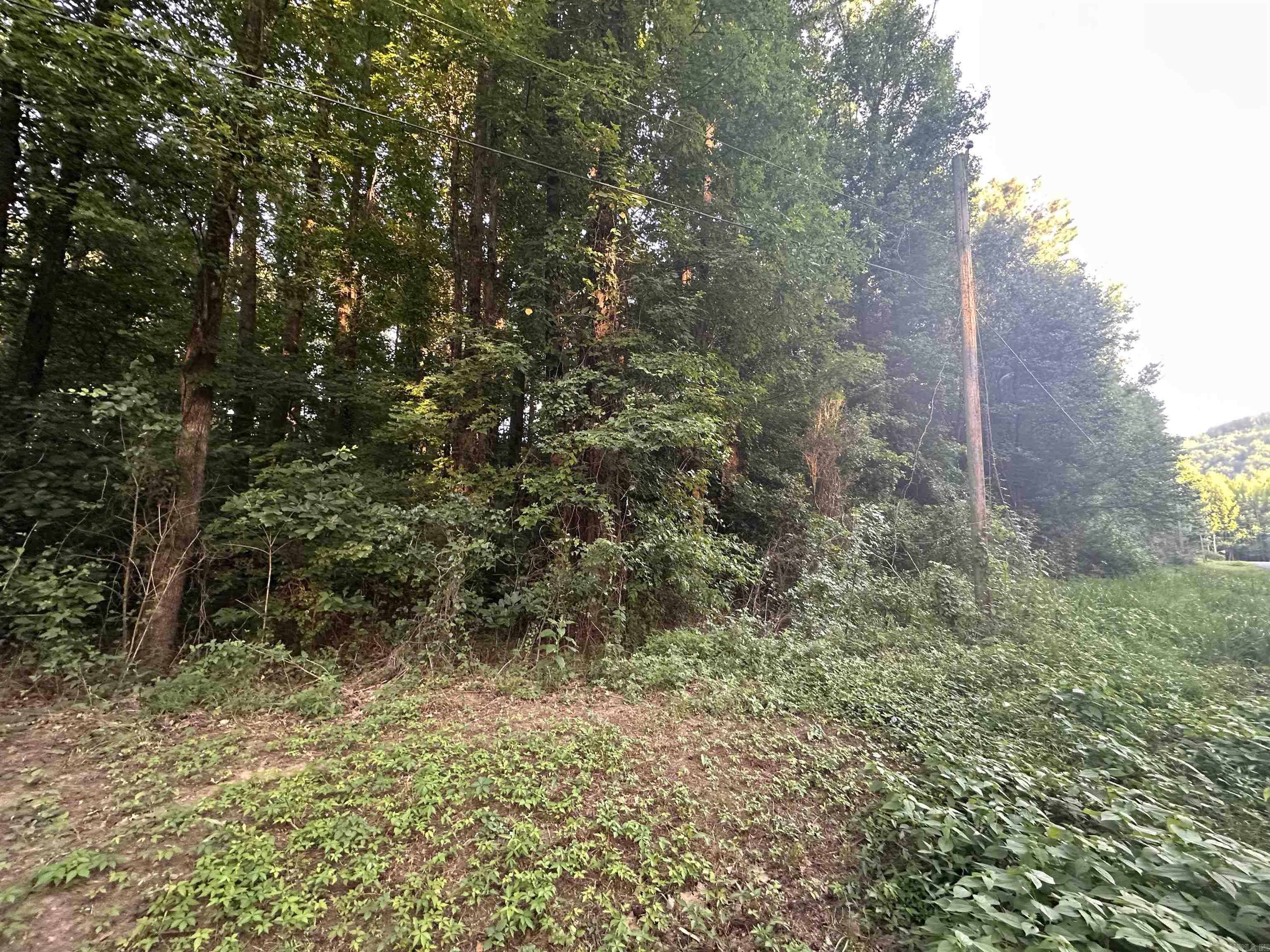 000 Valley Loop  Heber Springs, AR