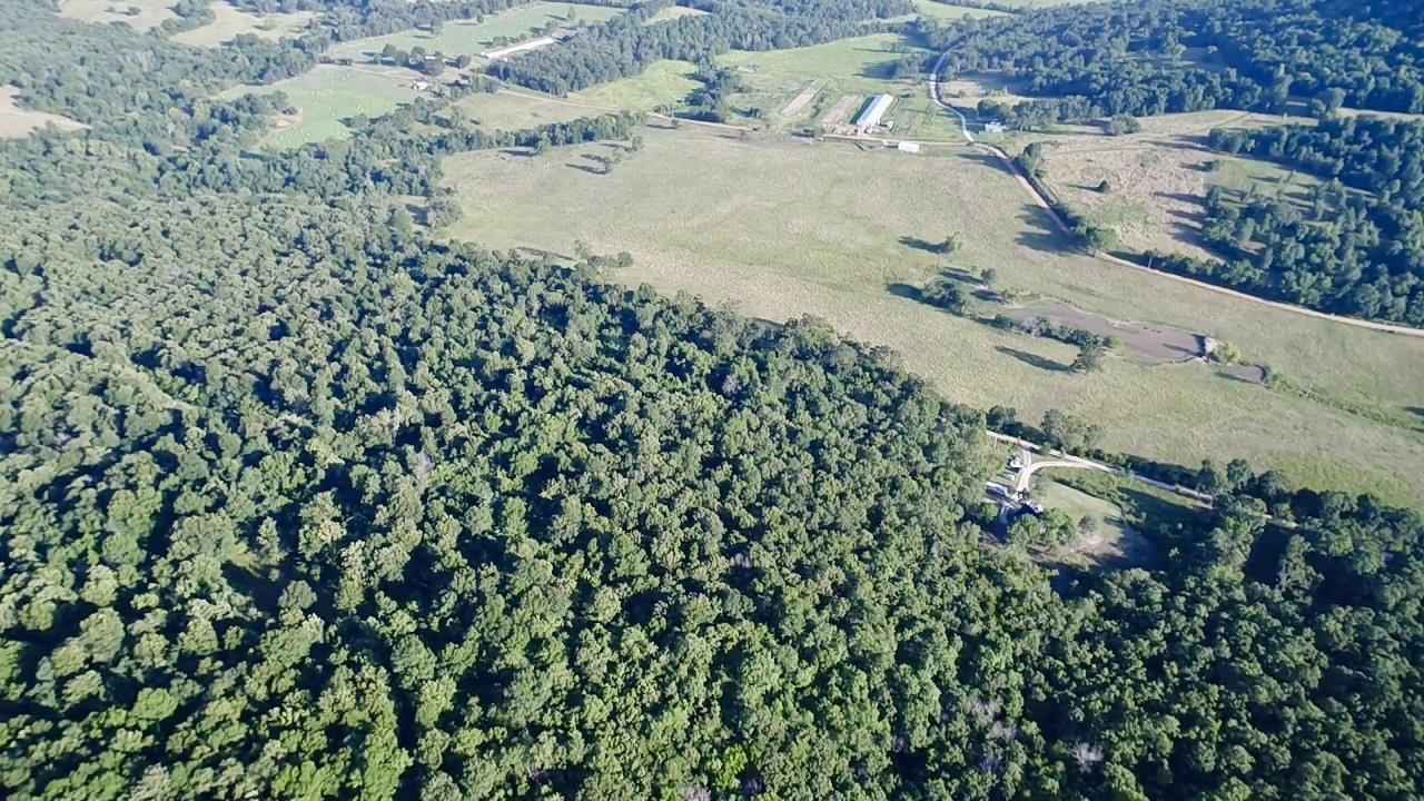 365 County Road 993 Green For., AR 72638