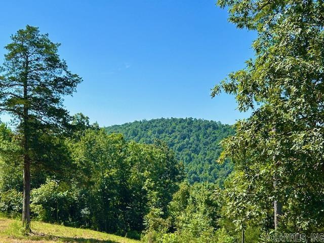 000 Grandpa Jones  Mountain View, AR