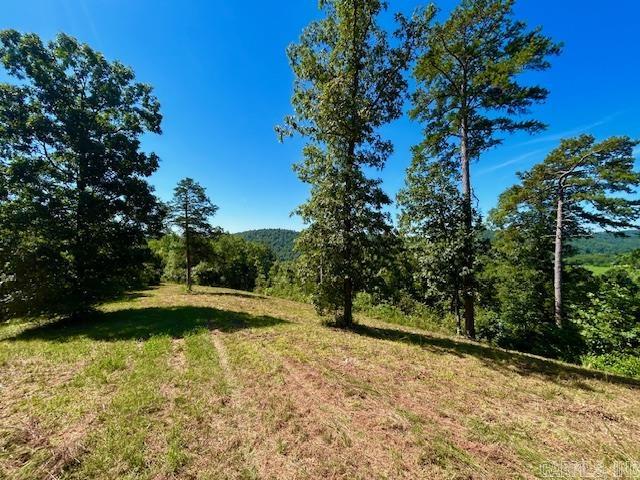 000 Grandpa Jones  Mountain View, AR