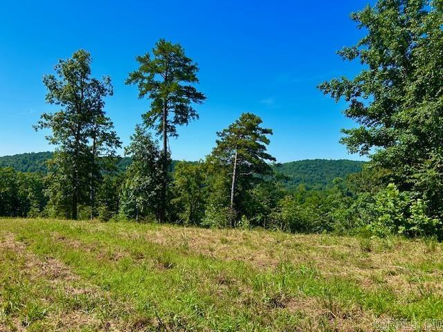 000 Grandpa Jones  Mountain View, AR