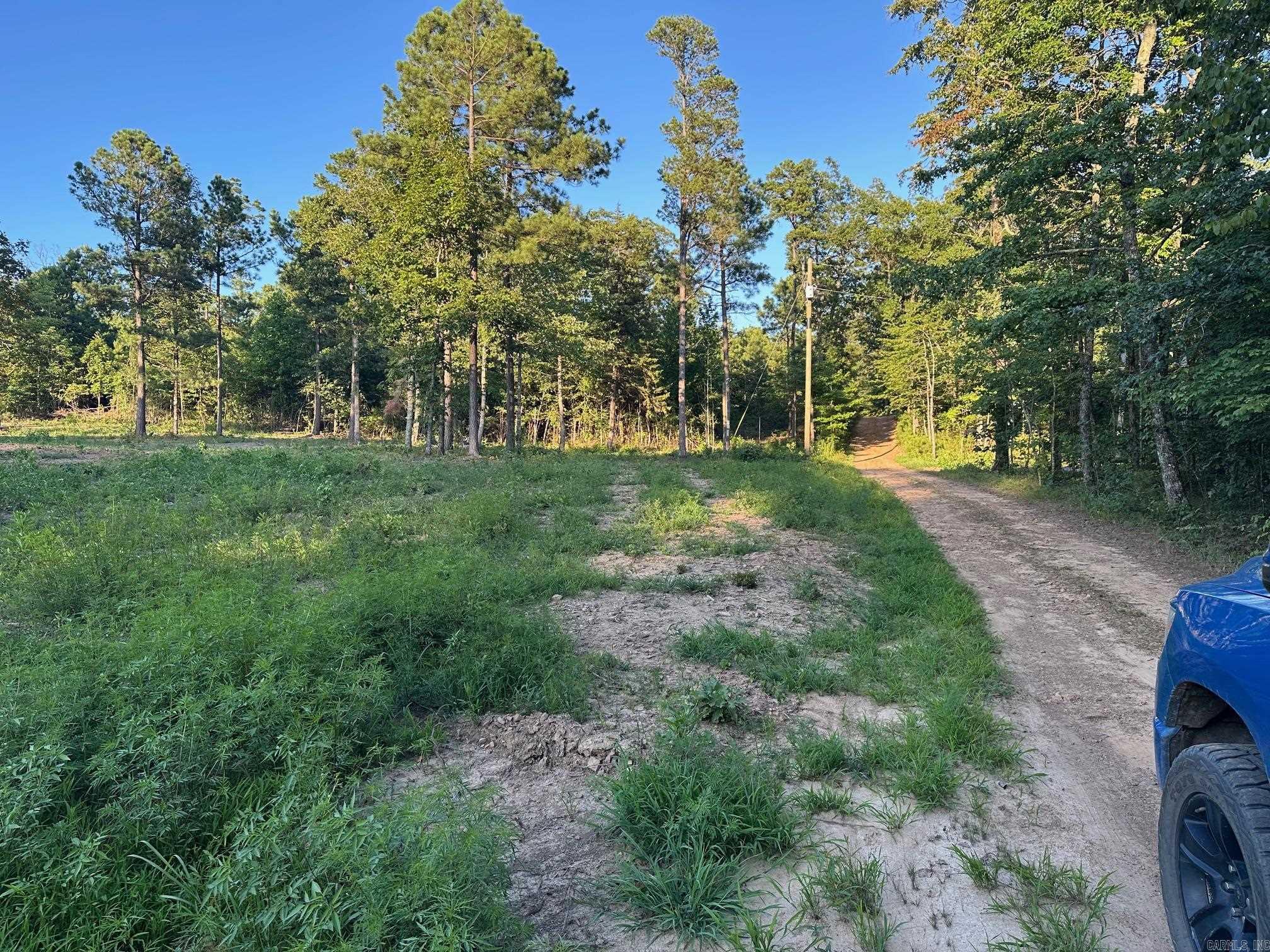 000 PRIVATE ROAD 4485  Ozone, AR