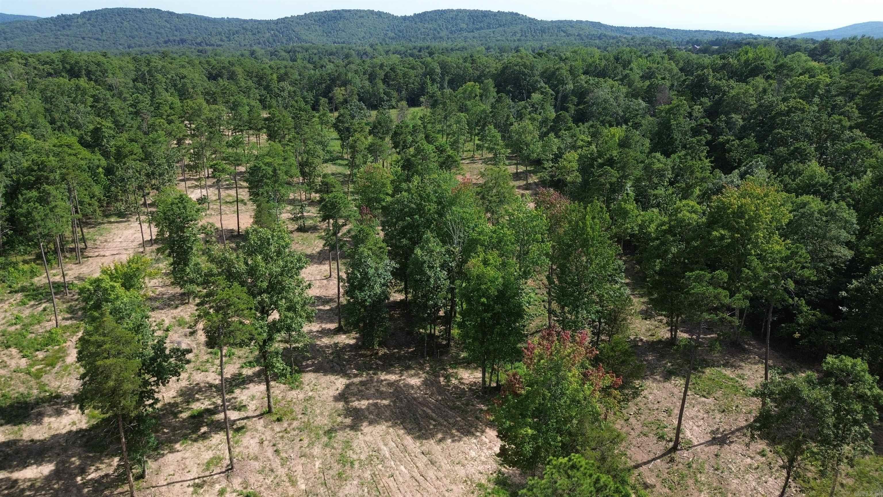 000 PRIVATE ROAD 4485  Ozone, AR