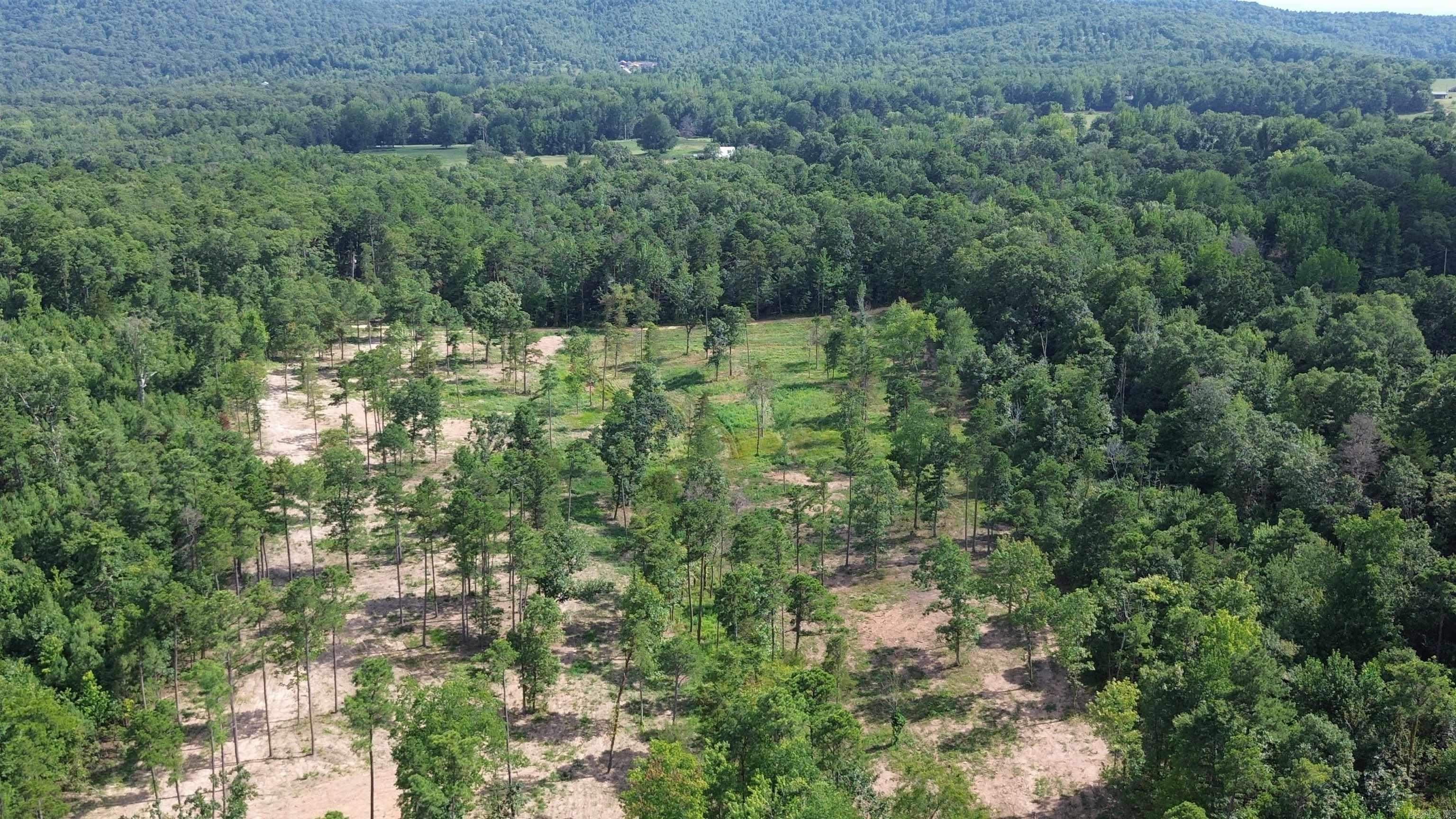 000 PRIVATE ROAD 4485  Ozone, AR