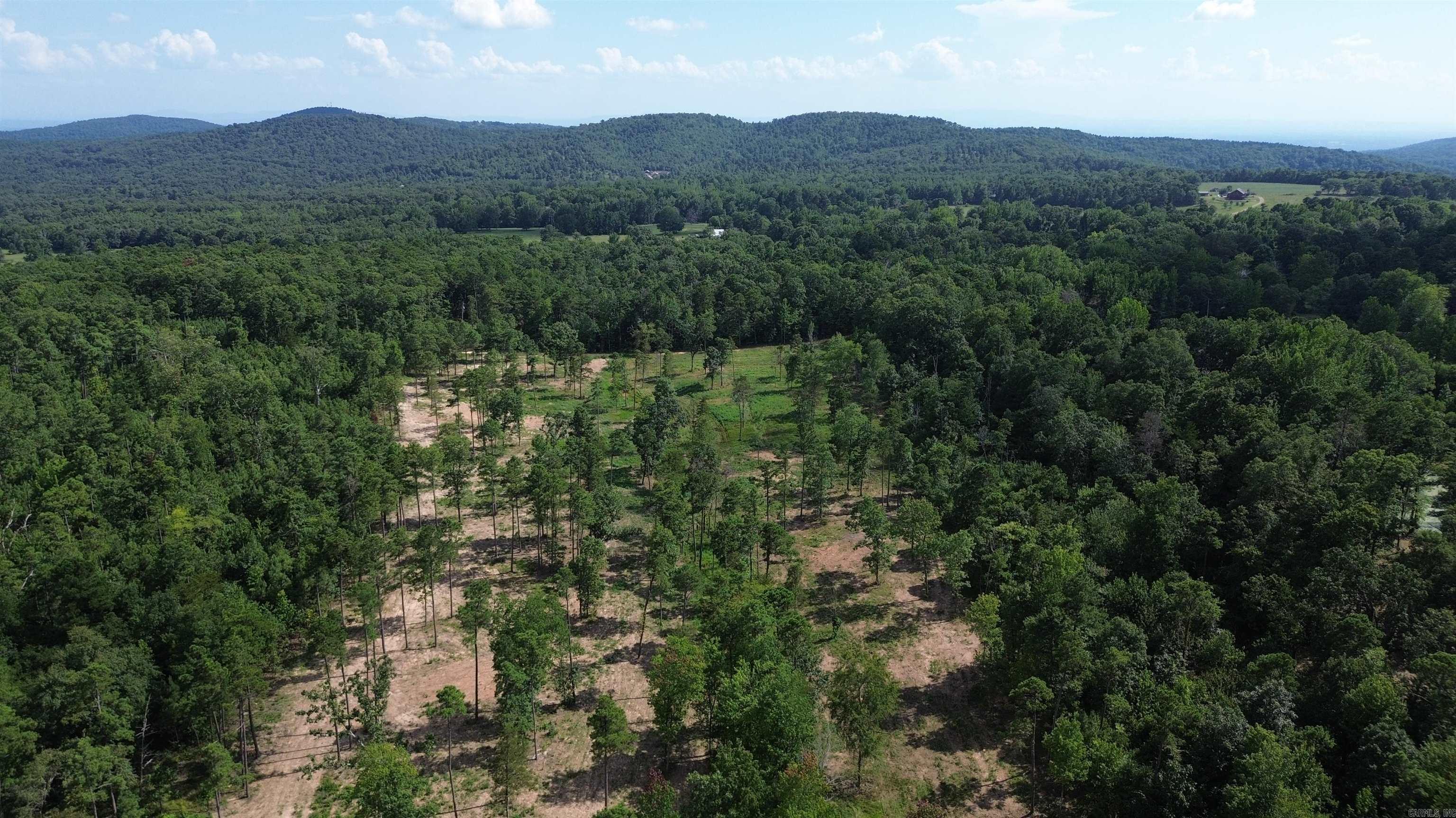 000 PRIVATE ROAD 4485  Ozone, AR