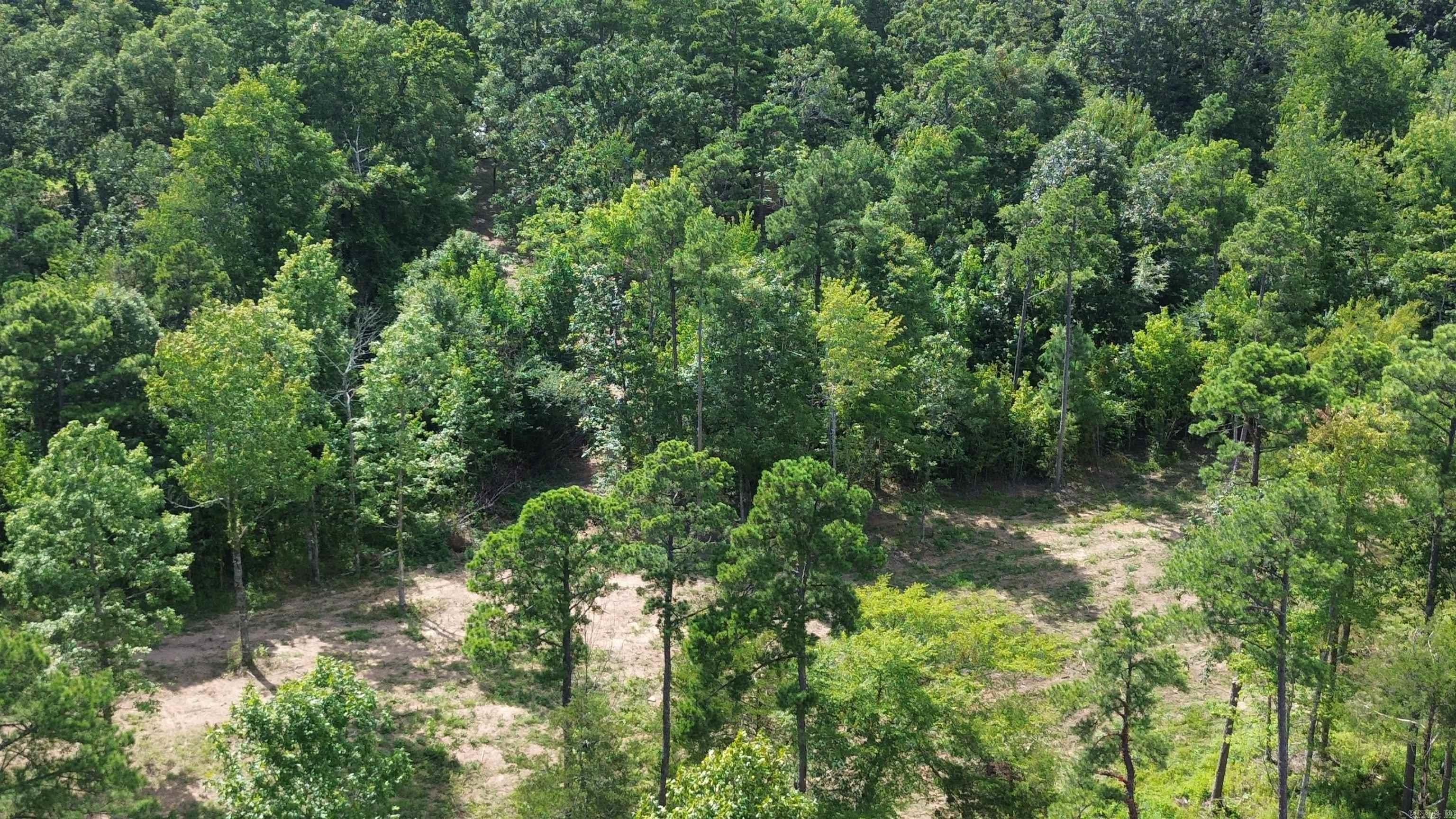 000 PRIVATE ROAD 4485  Ozone, AR