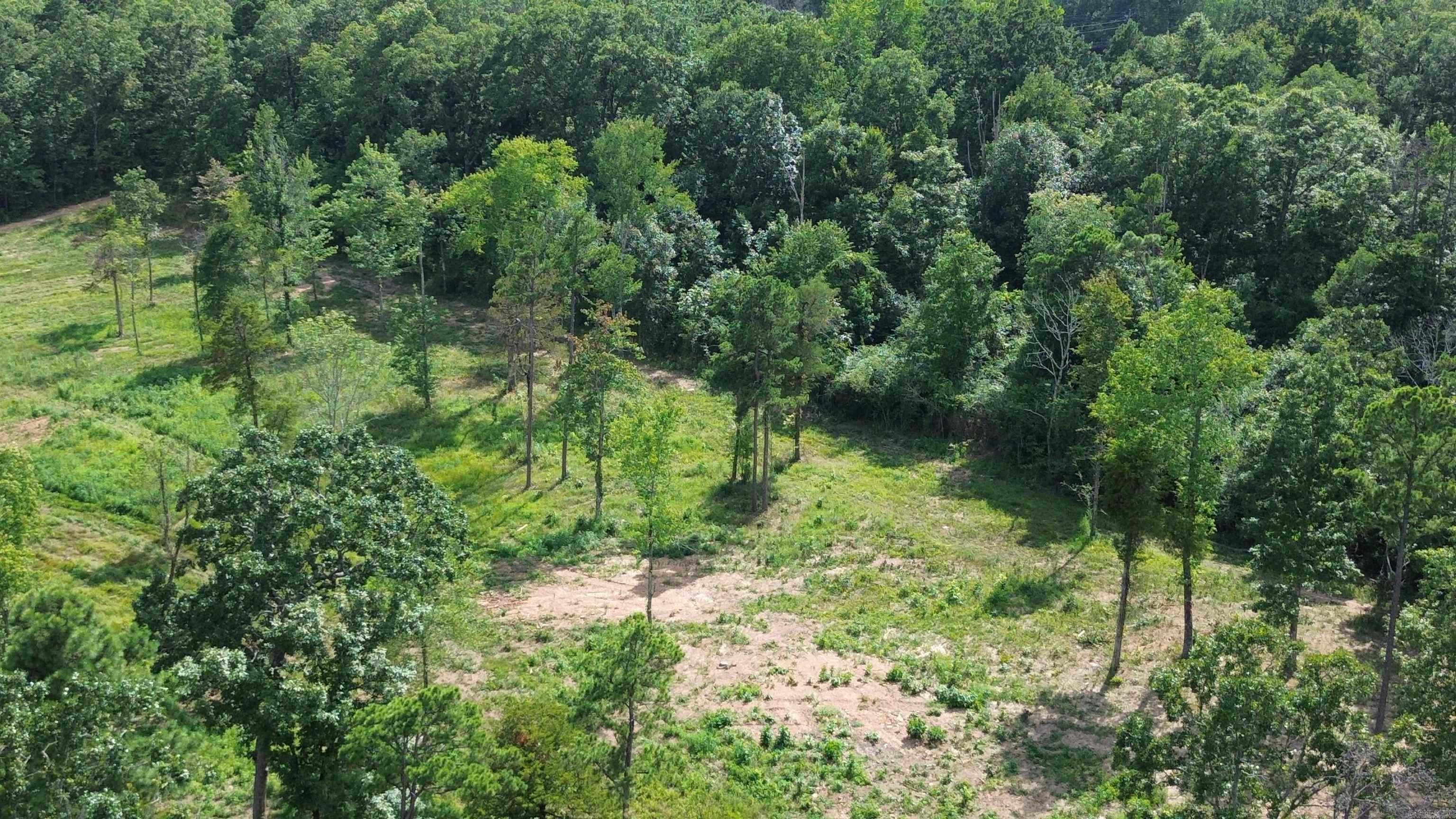 000 PRIVATE ROAD 4485  Ozone, AR