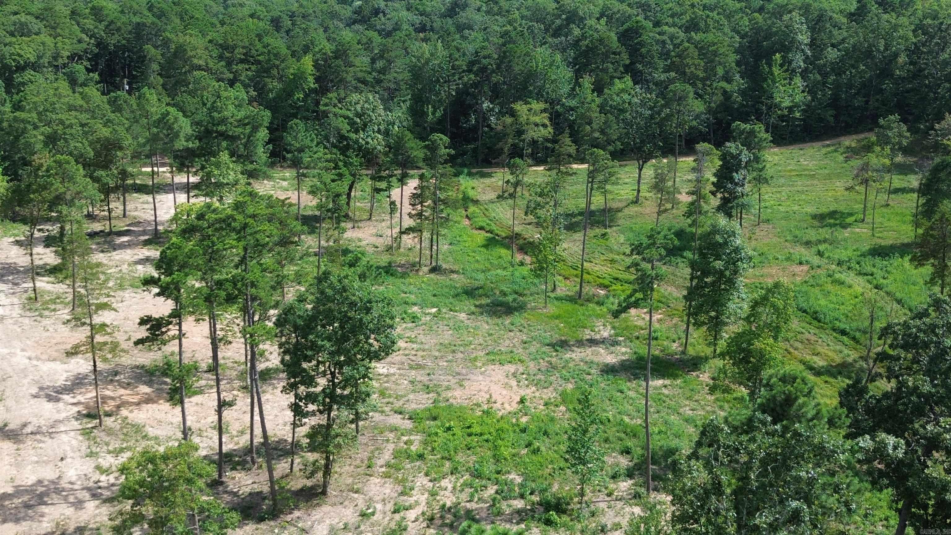 000 PRIVATE ROAD 4485  Ozone, AR