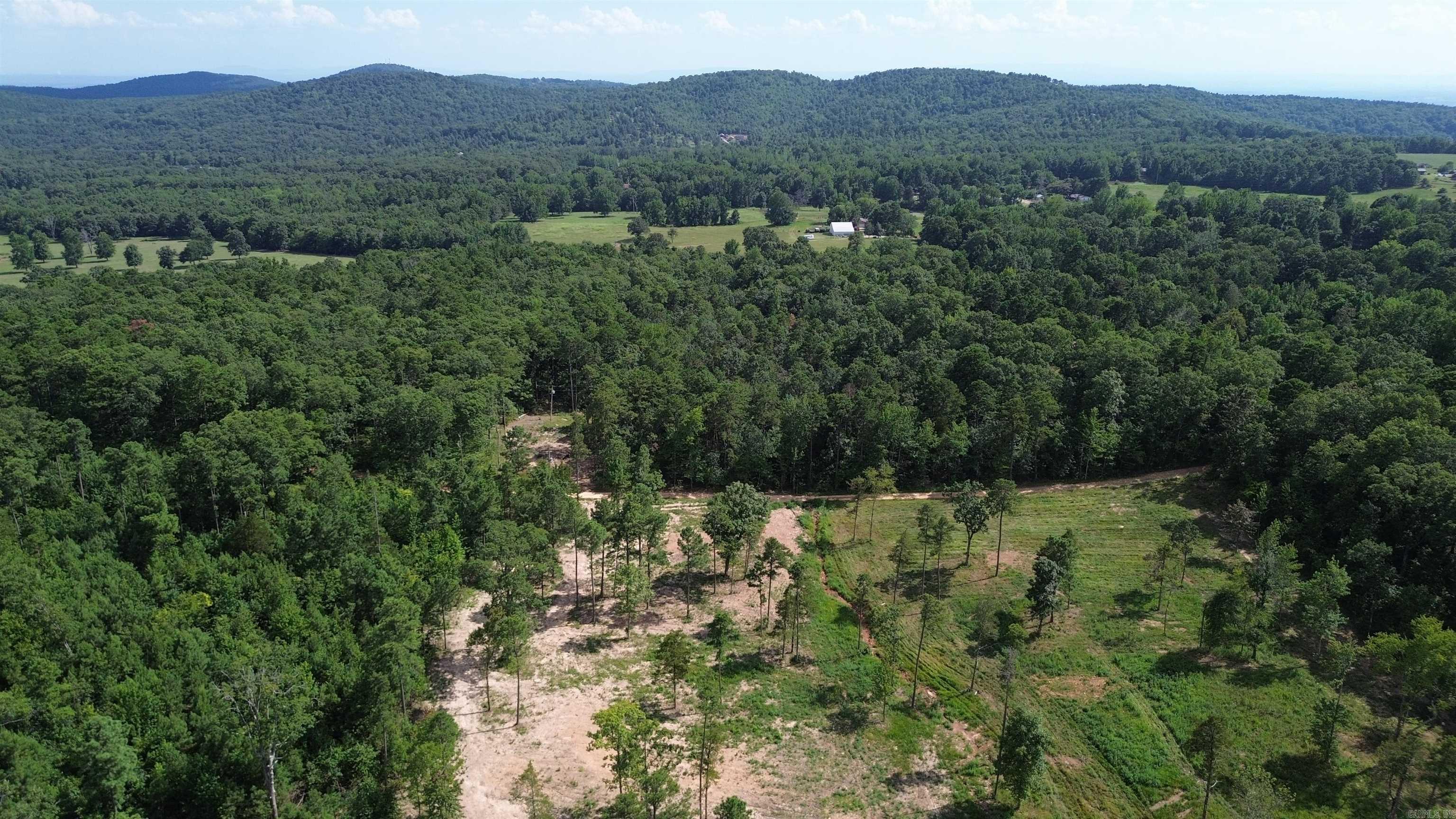 000 PRIVATE ROAD 4485  Ozone, AR