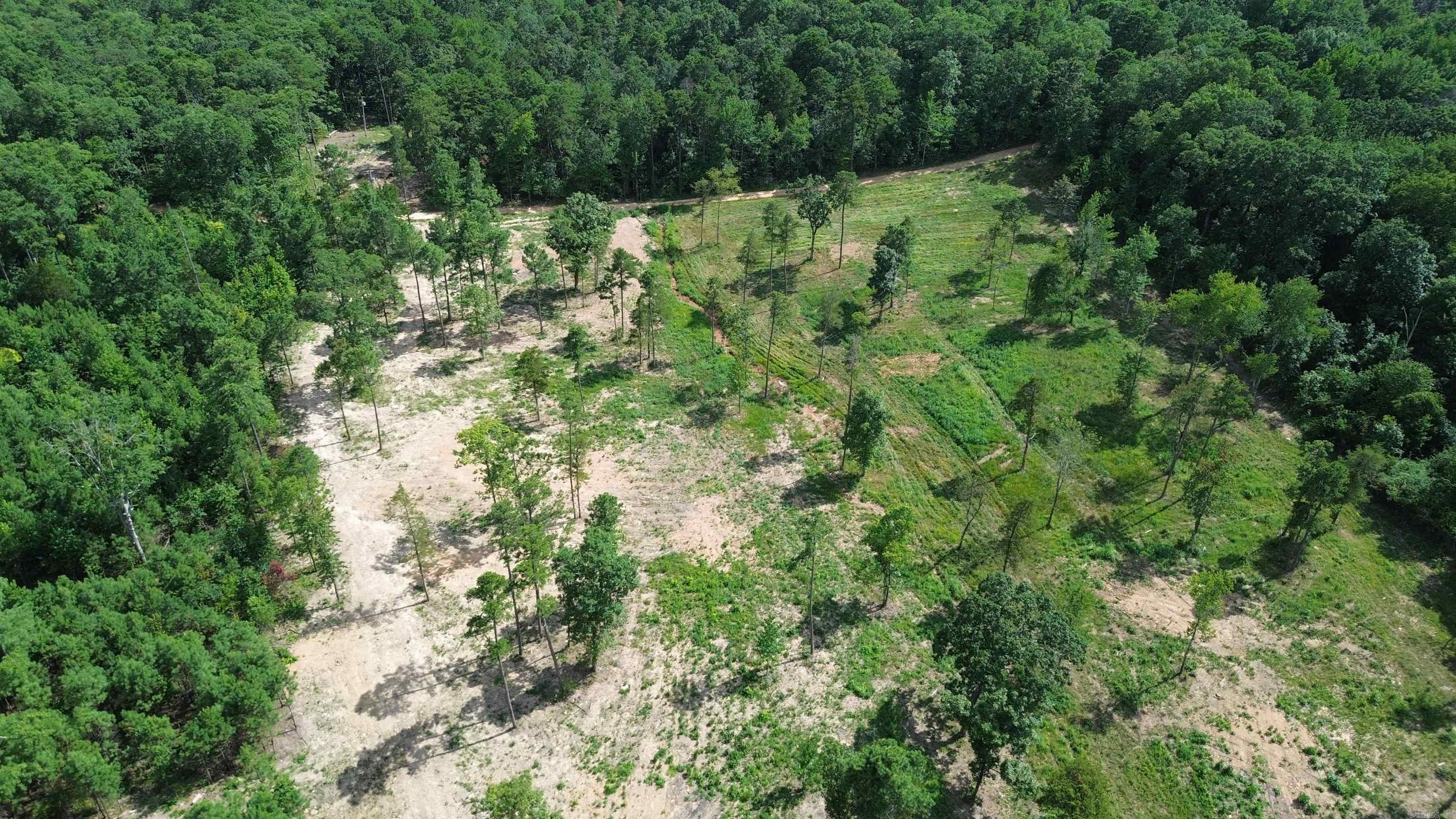 000 PRIVATE ROAD 4485  Ozone, AR