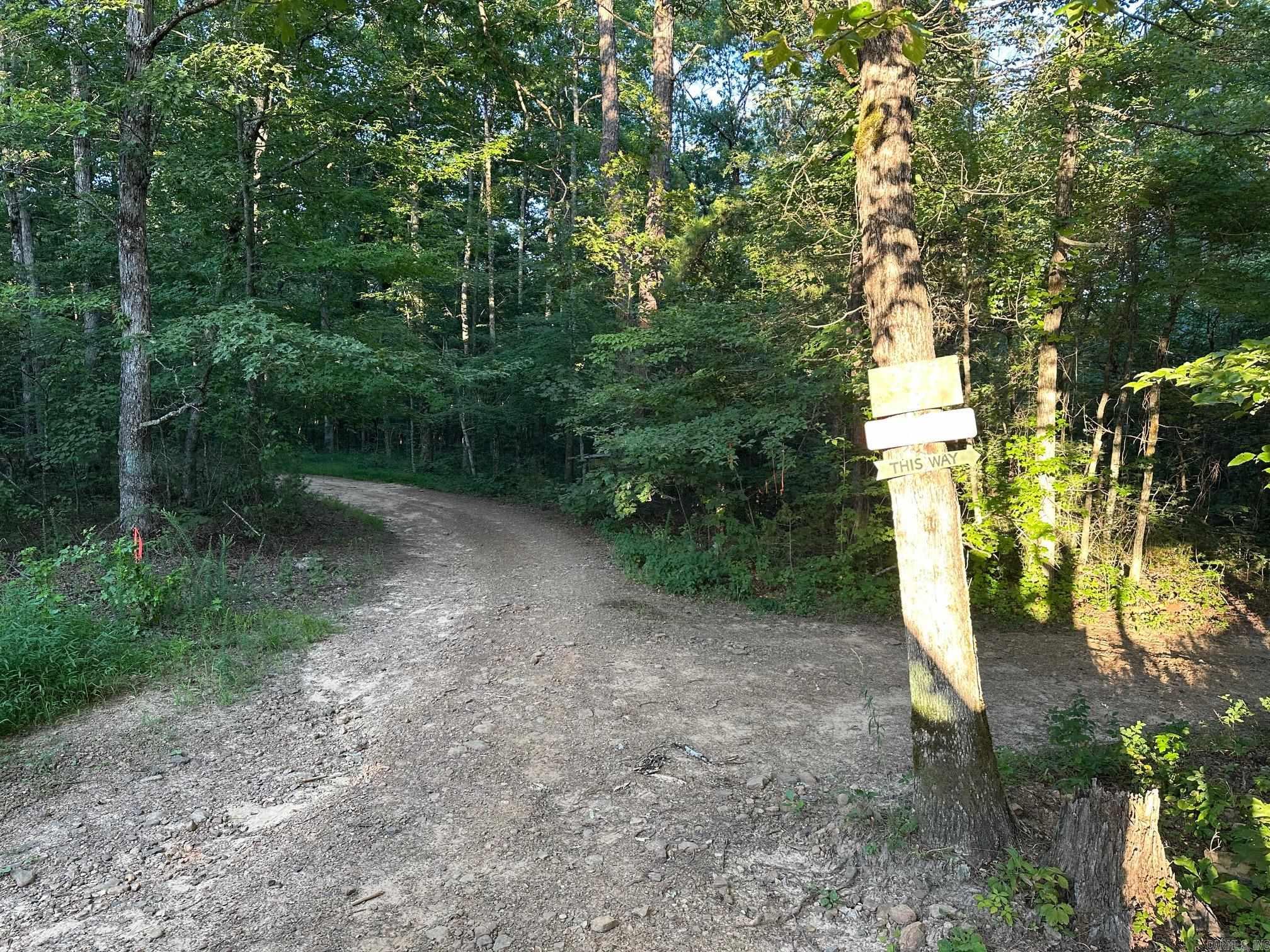 000 PRIVATE ROAD 4485  Ozone, AR