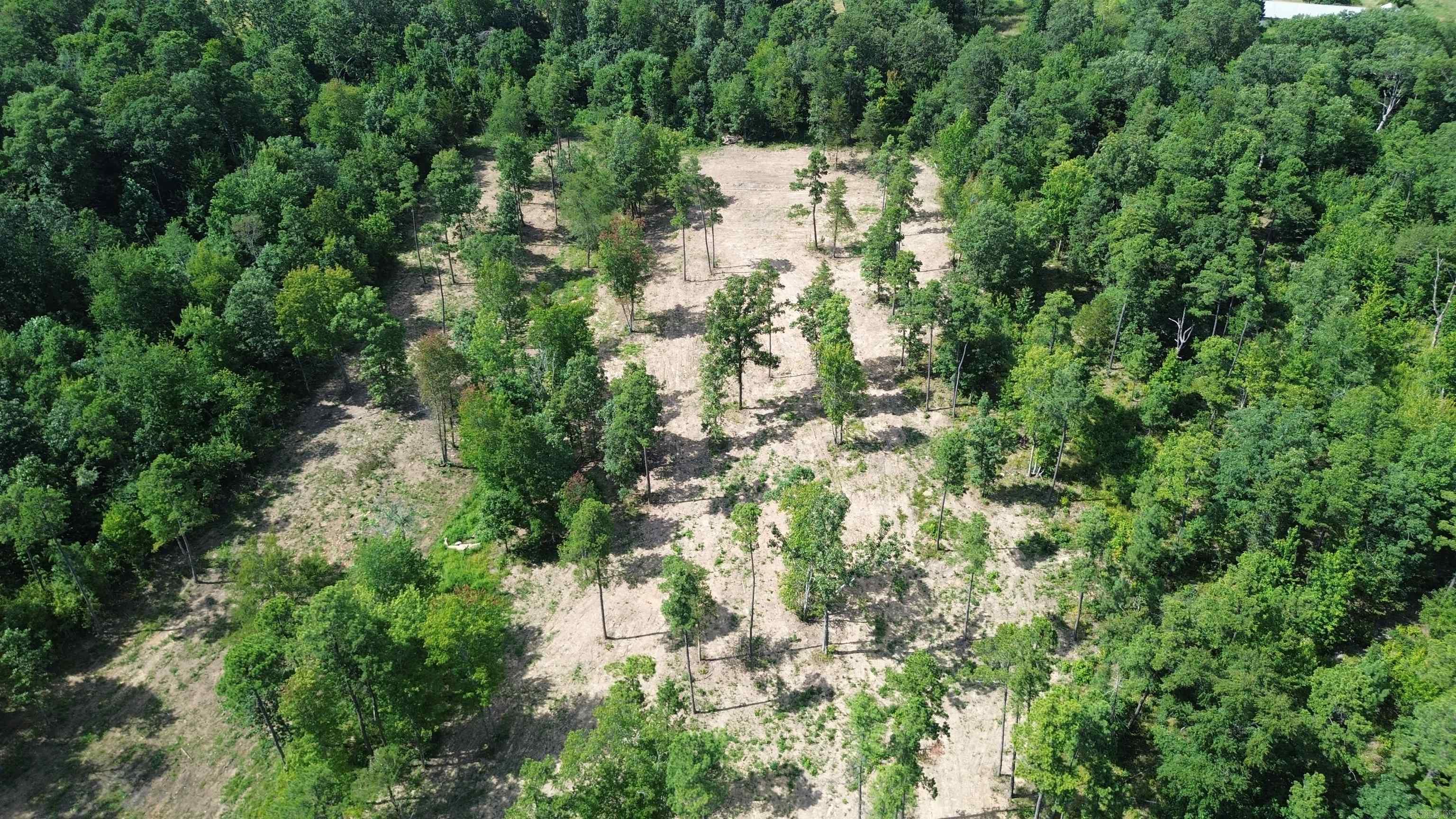 000 PRIVATE ROAD 4485  Ozone, AR