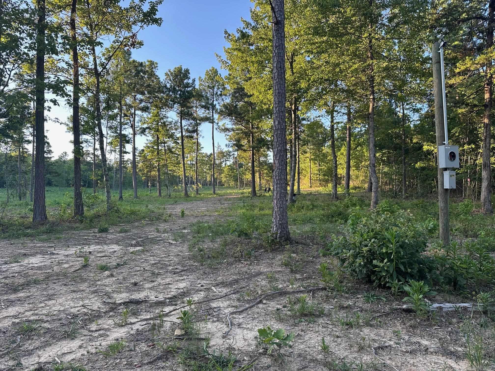 000 PRIVATE ROAD 4485  Ozone, AR