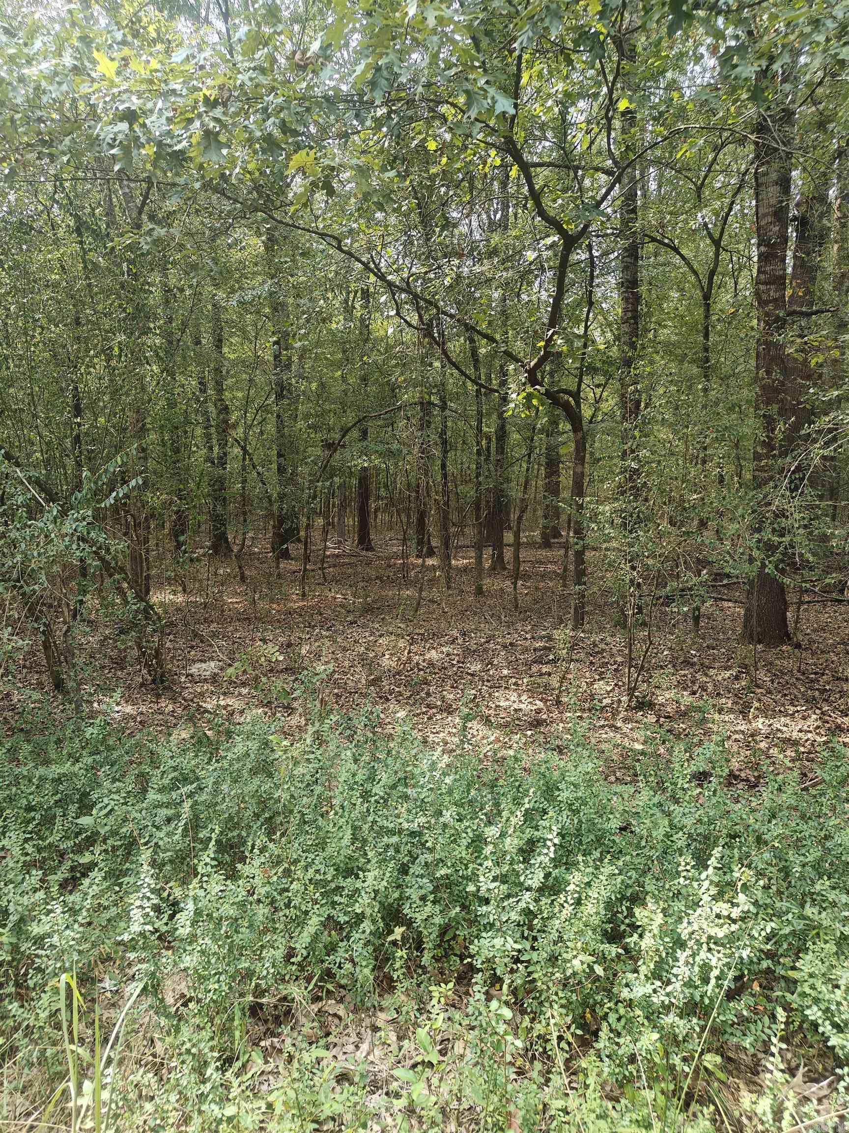 00 McCain  Jacksonville, AR