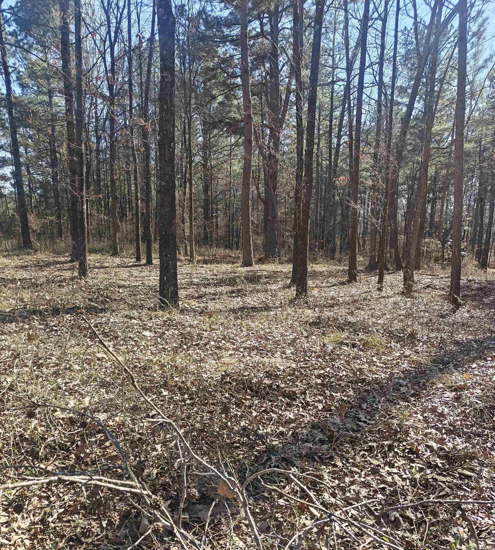 00 Valentine  North Little Rock, AR