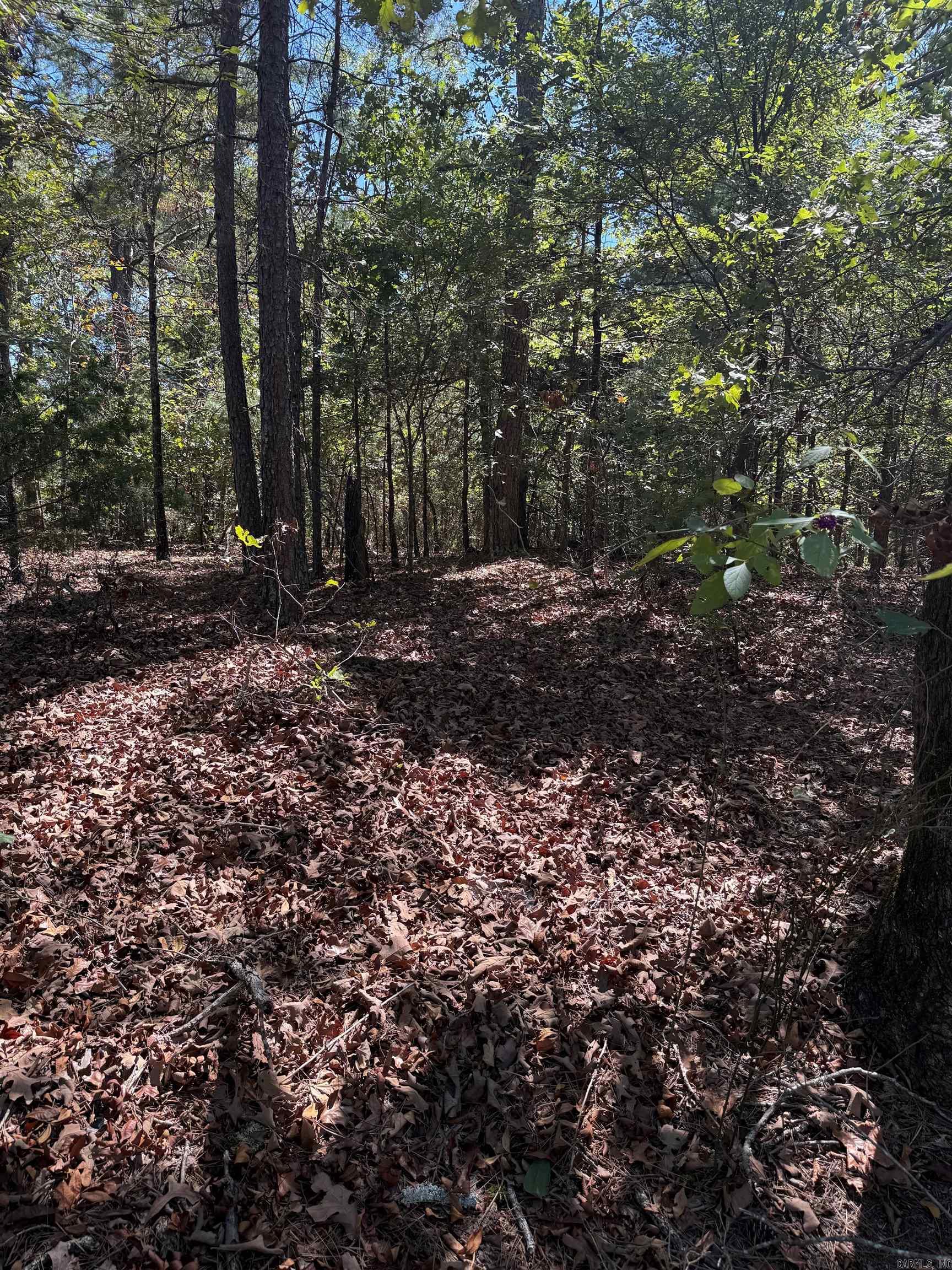 13 Woodsong  Roland, AR