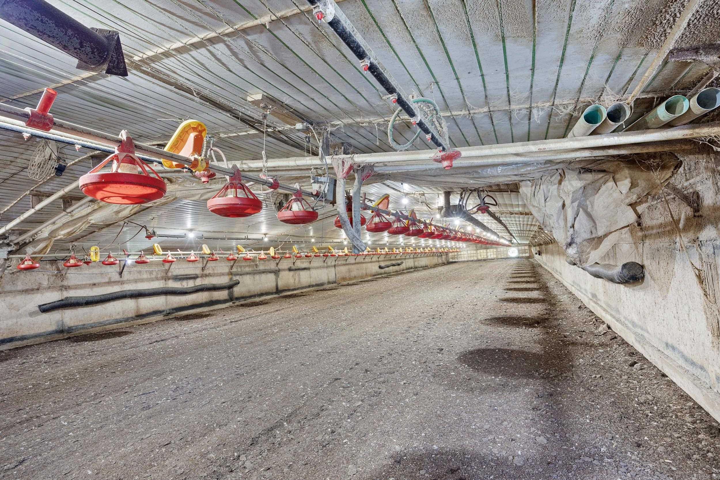 799 Barrens Community Rd  Clinton, AR