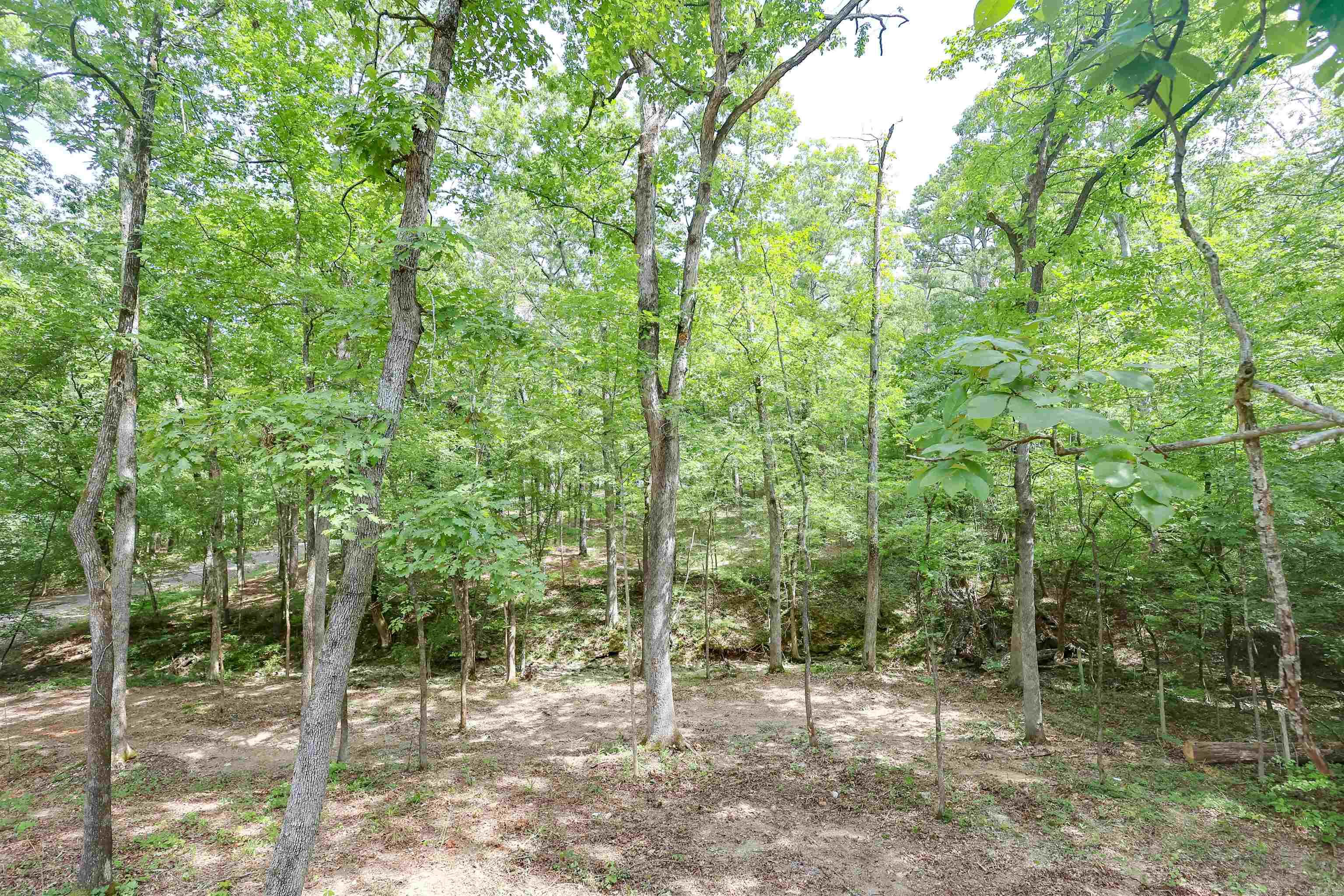 260 Hall  Mount Ida, AR