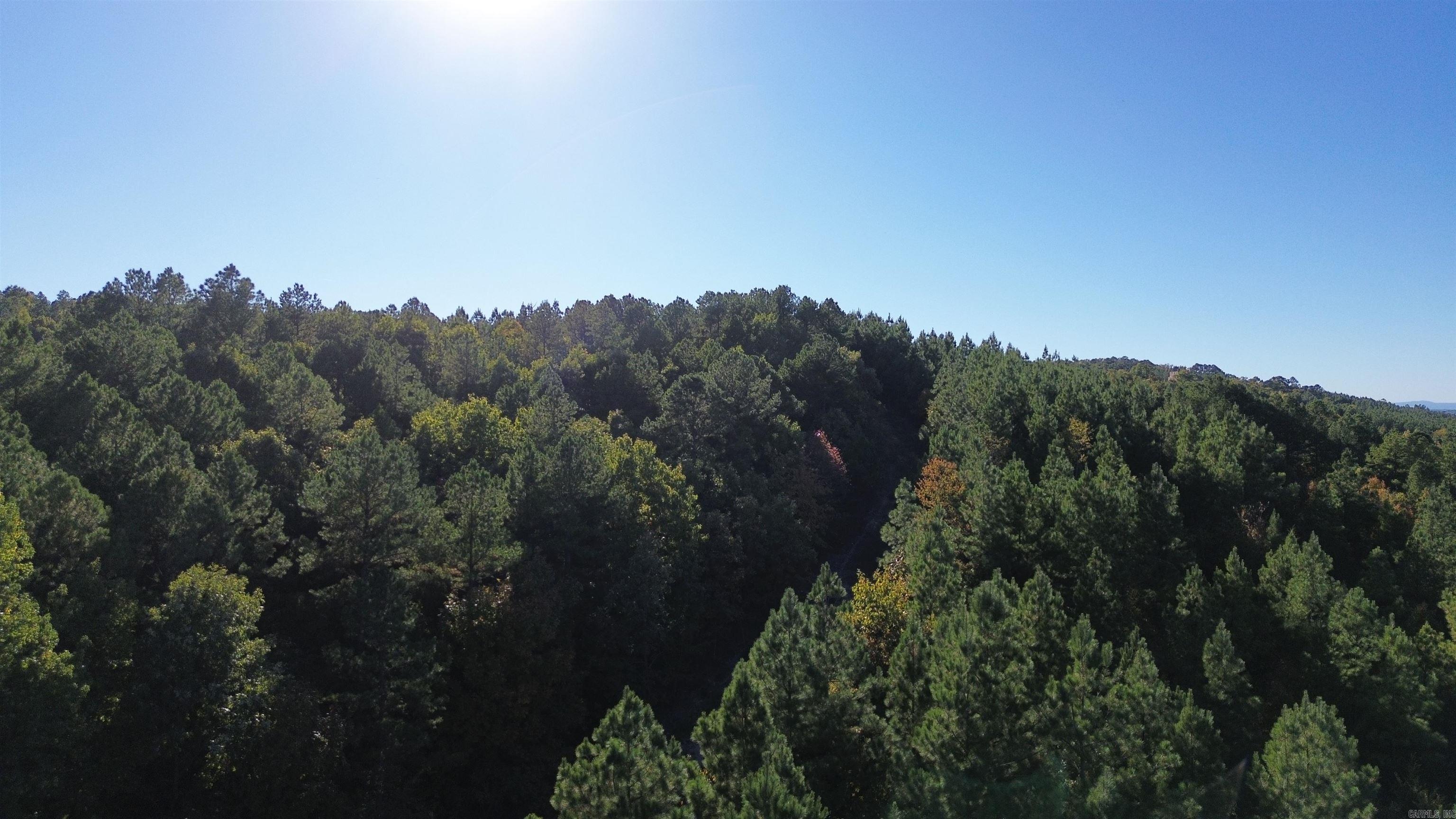 Lot 9 Polk Road 617  Mena, AR