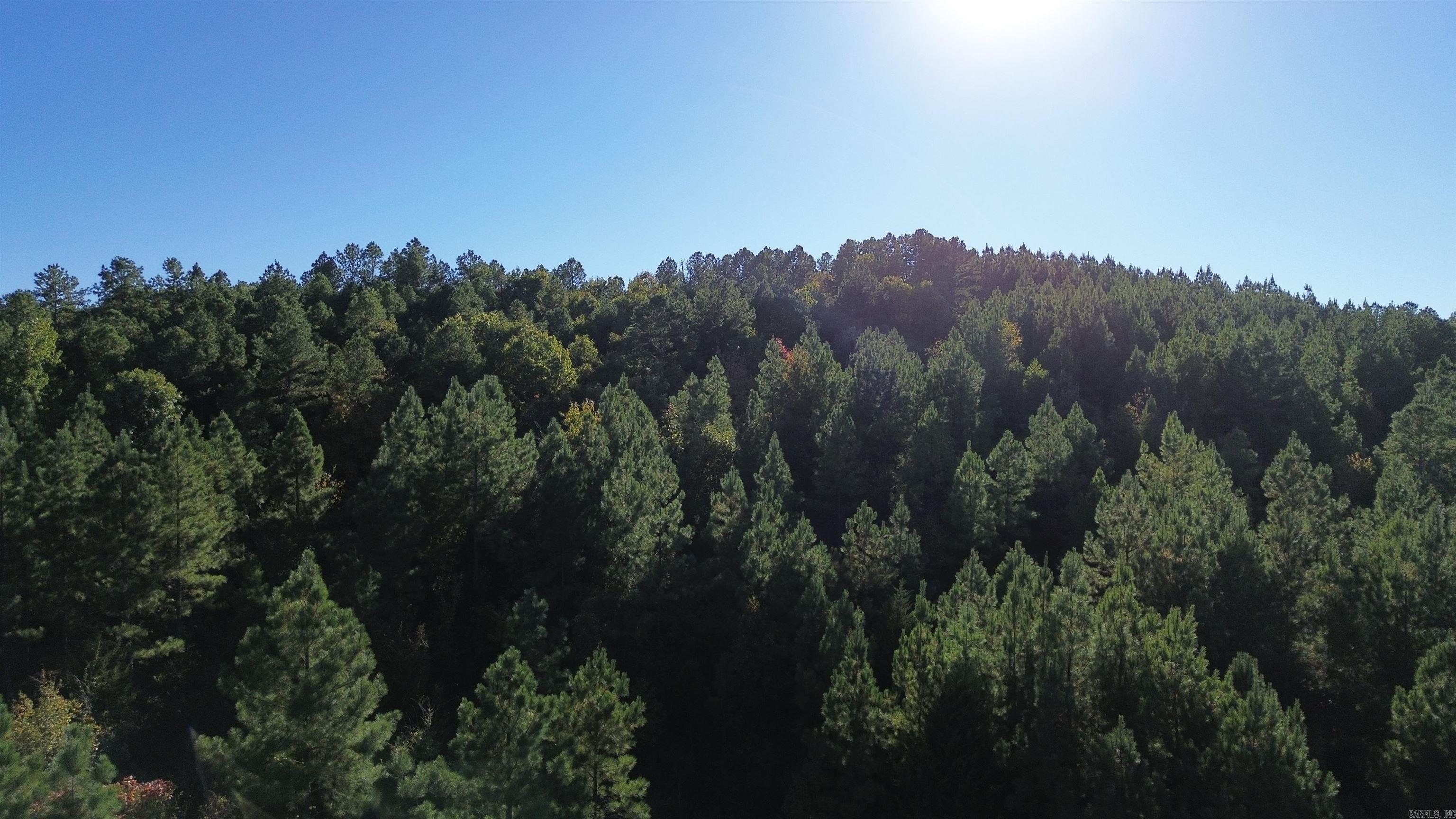 Lot 9 Polk Road 617  Mena, AR