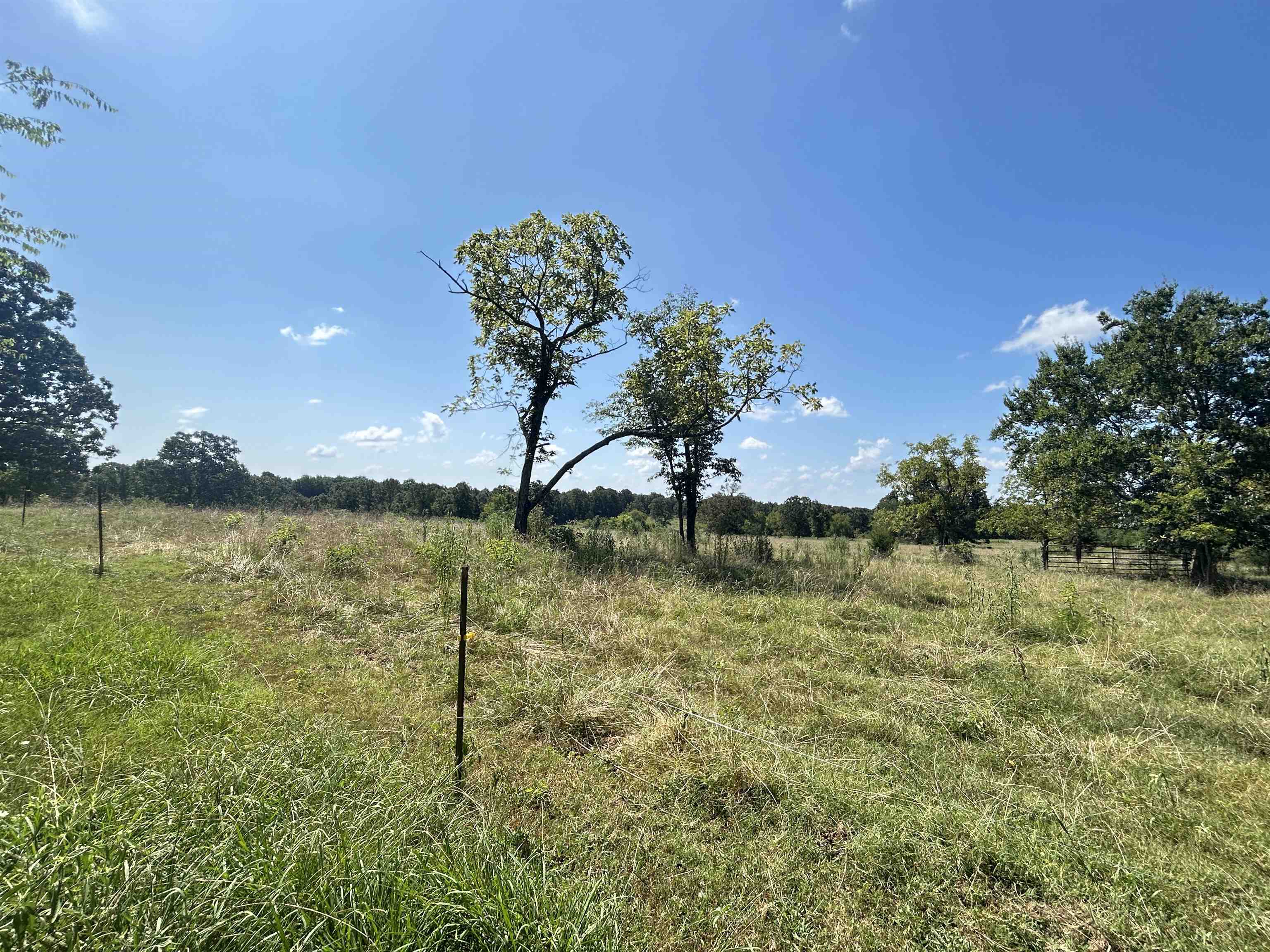 152 E Turkey Pen  Highland, AR