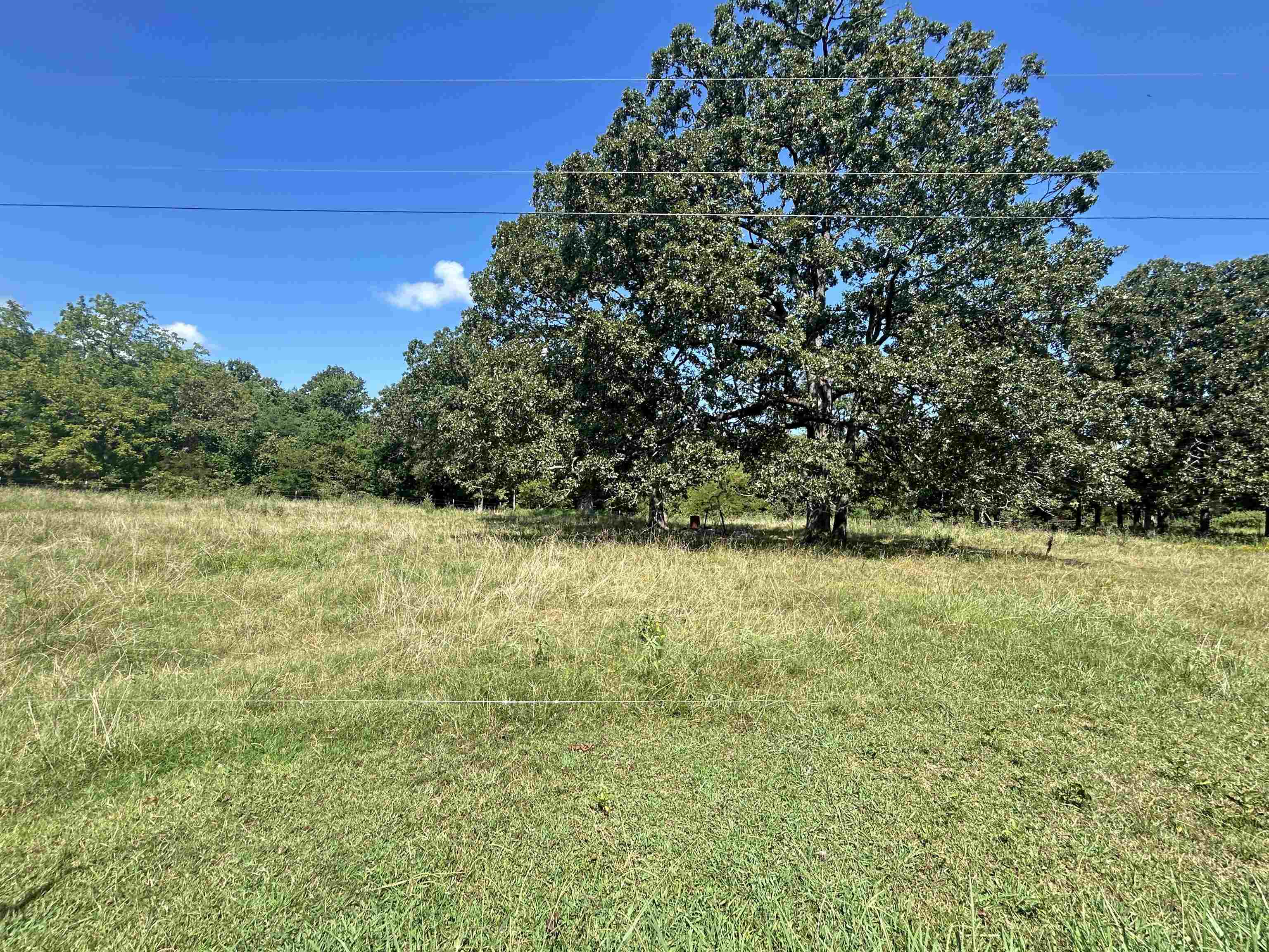 152A E Turkey Pen Road Highland, AR 72542