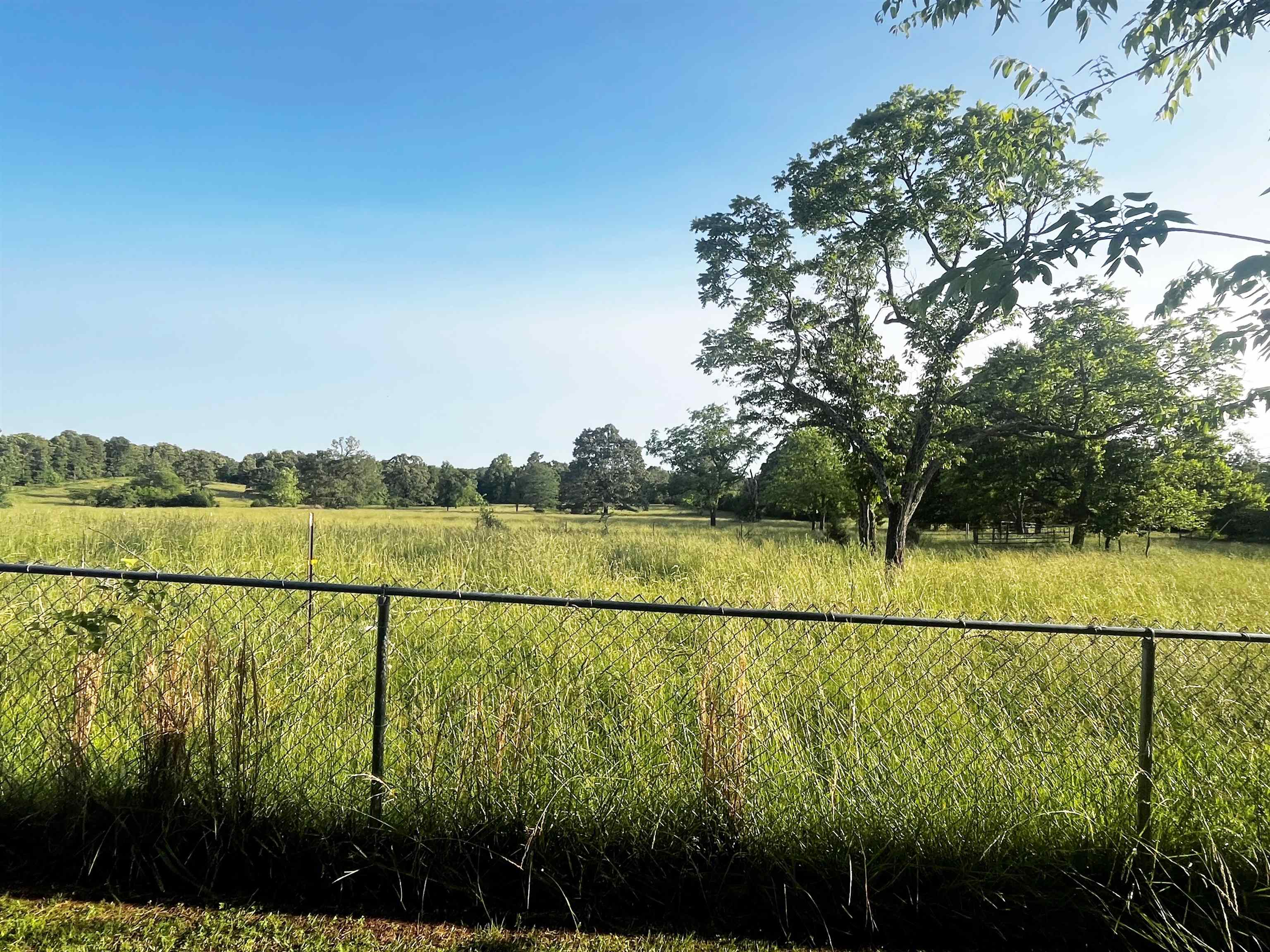 152A E Turkey Pen Road Highland, AR 72542